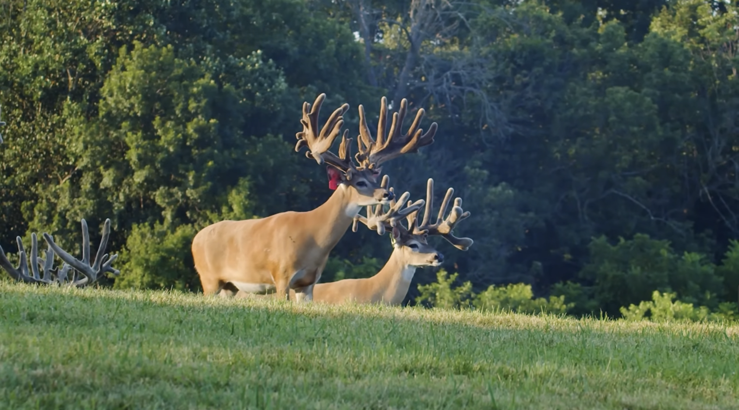 Screenshot 2026-01-23 at 2.51.47 PM.png