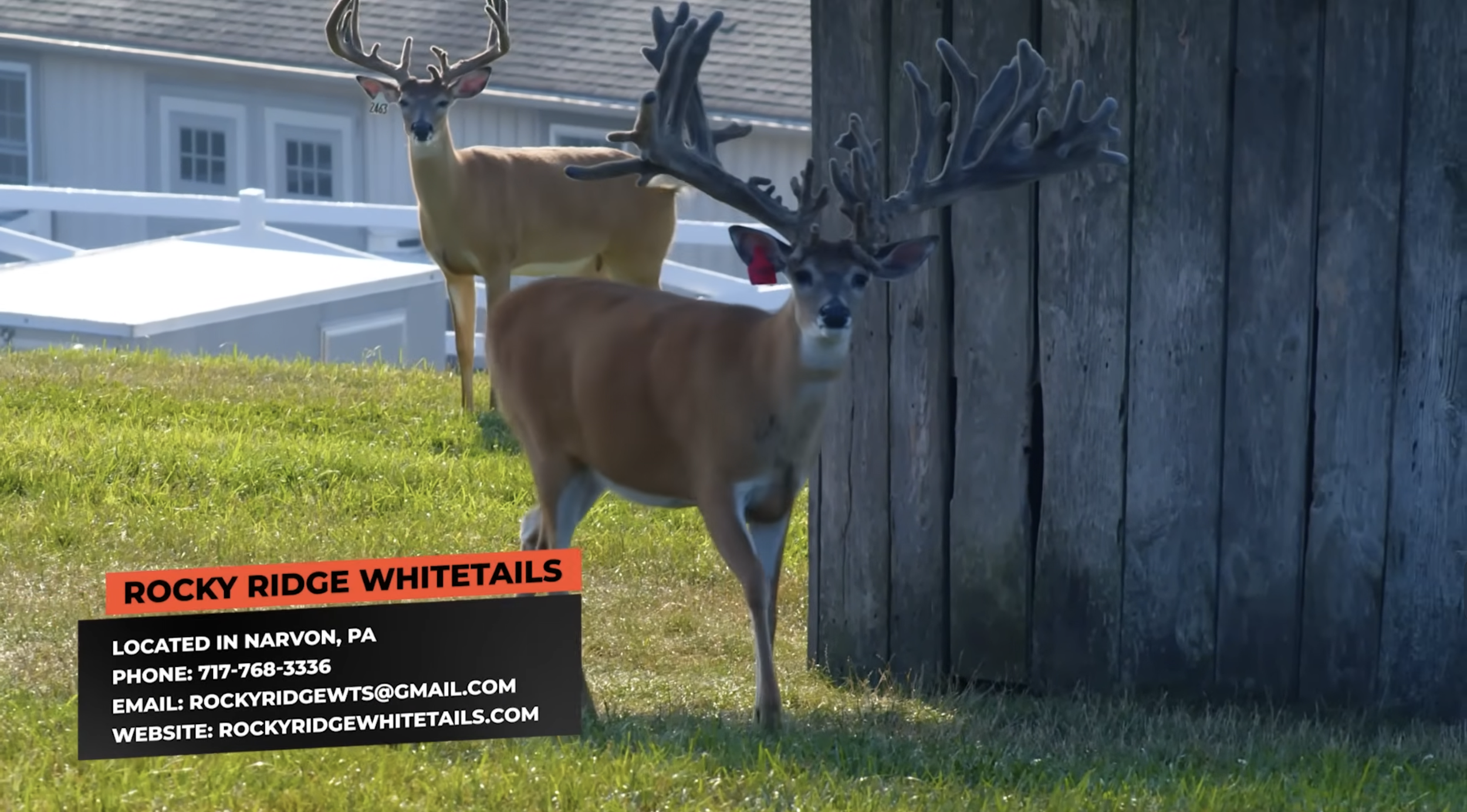 Screenshot 2026-01-23 at 2.52.52 PM.png