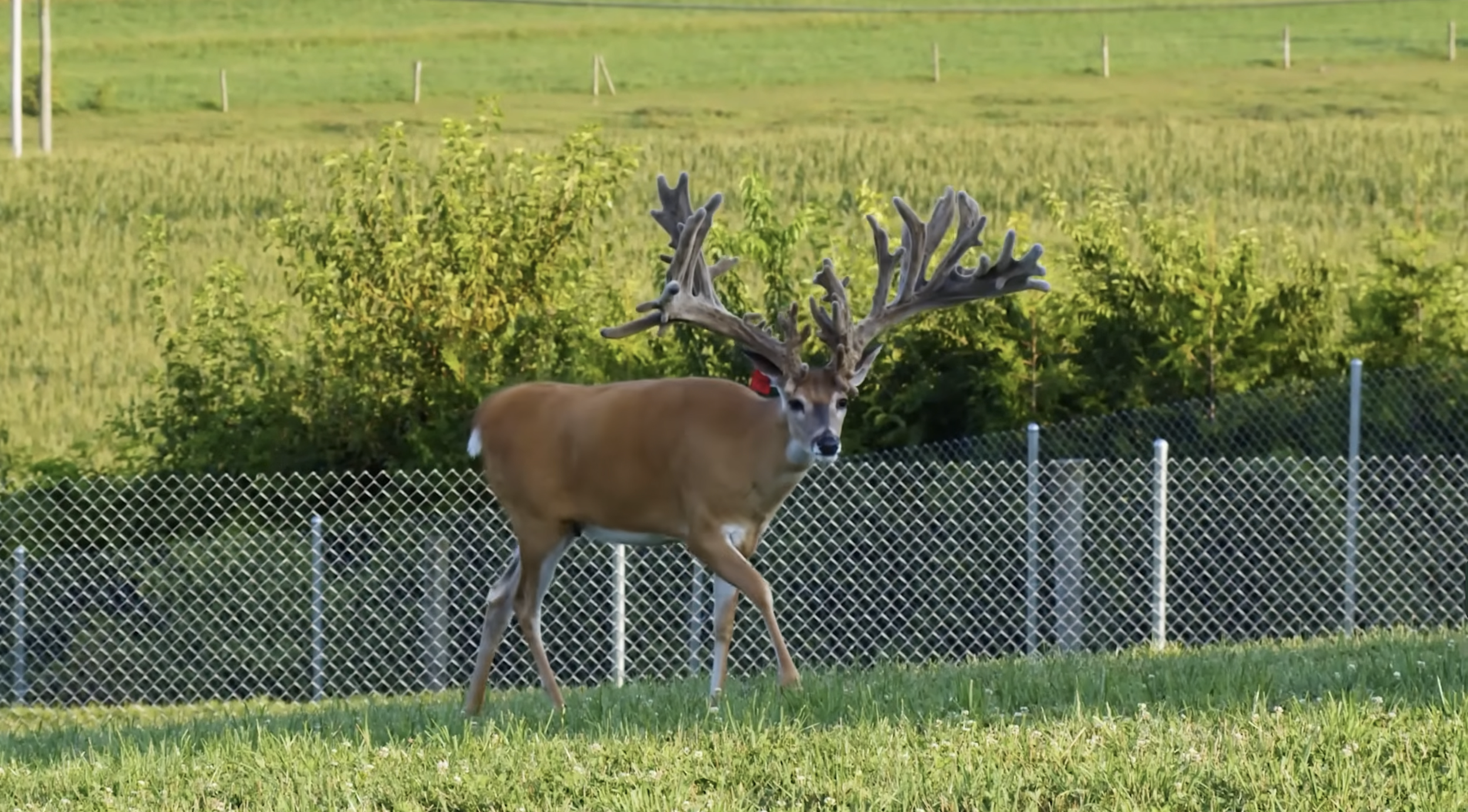 Screenshot 2026-01-23 at 2.52.37 PM.png