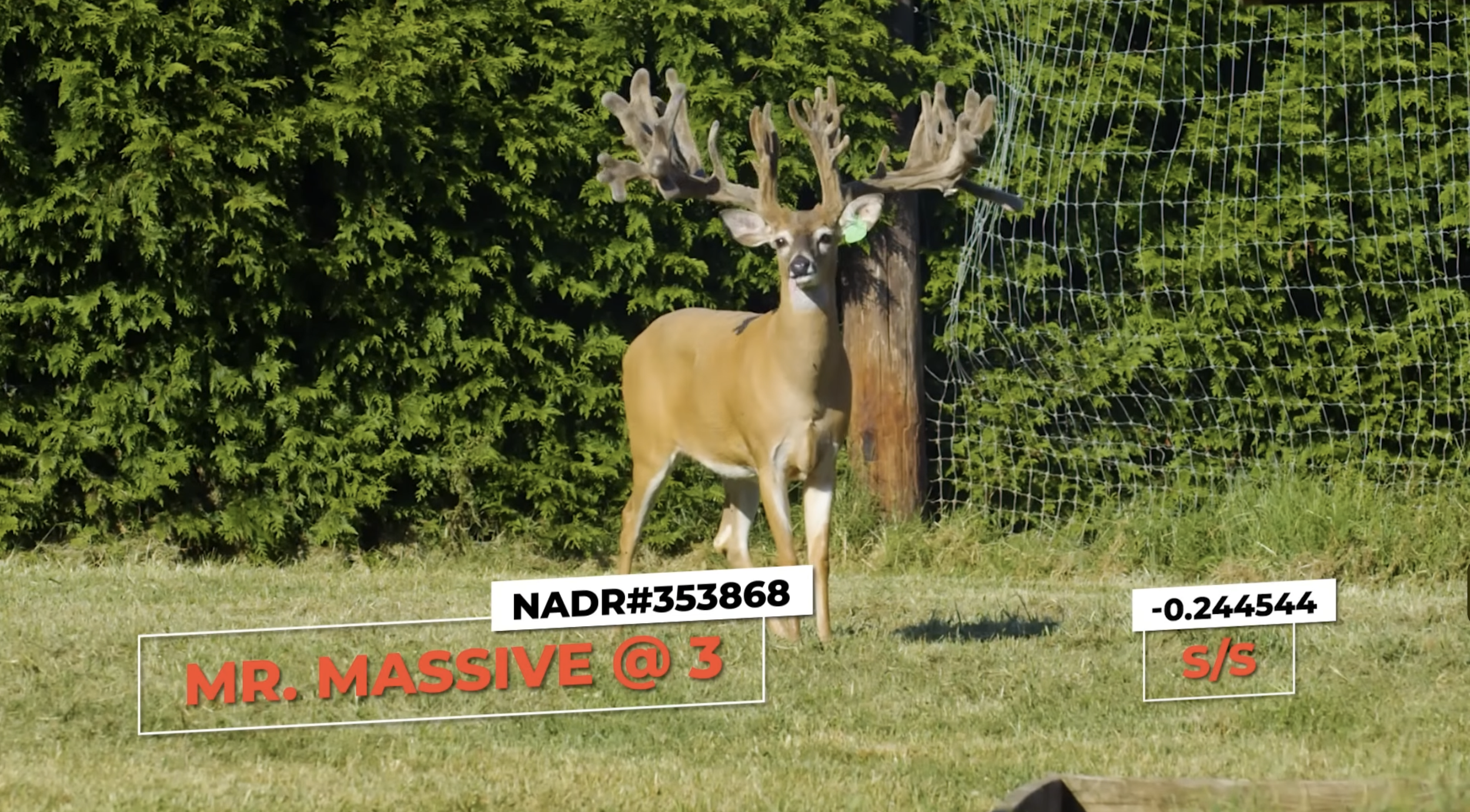 Screenshot 2026-01-23 at 2.53.30 PM.png