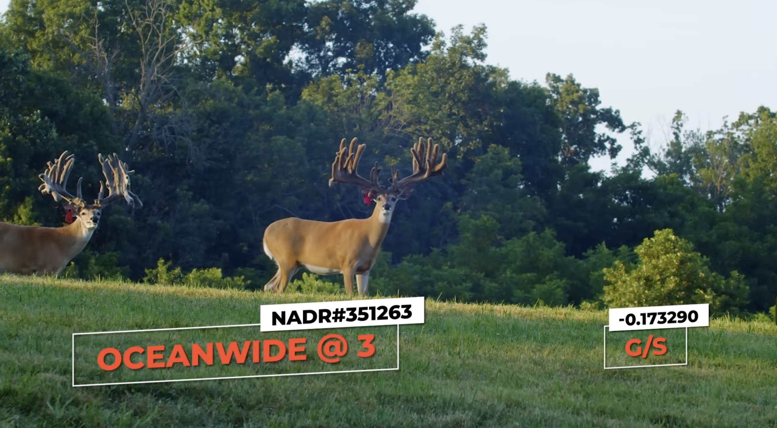 Screenshot 2026-01-23 at 2.54.30 PM.png