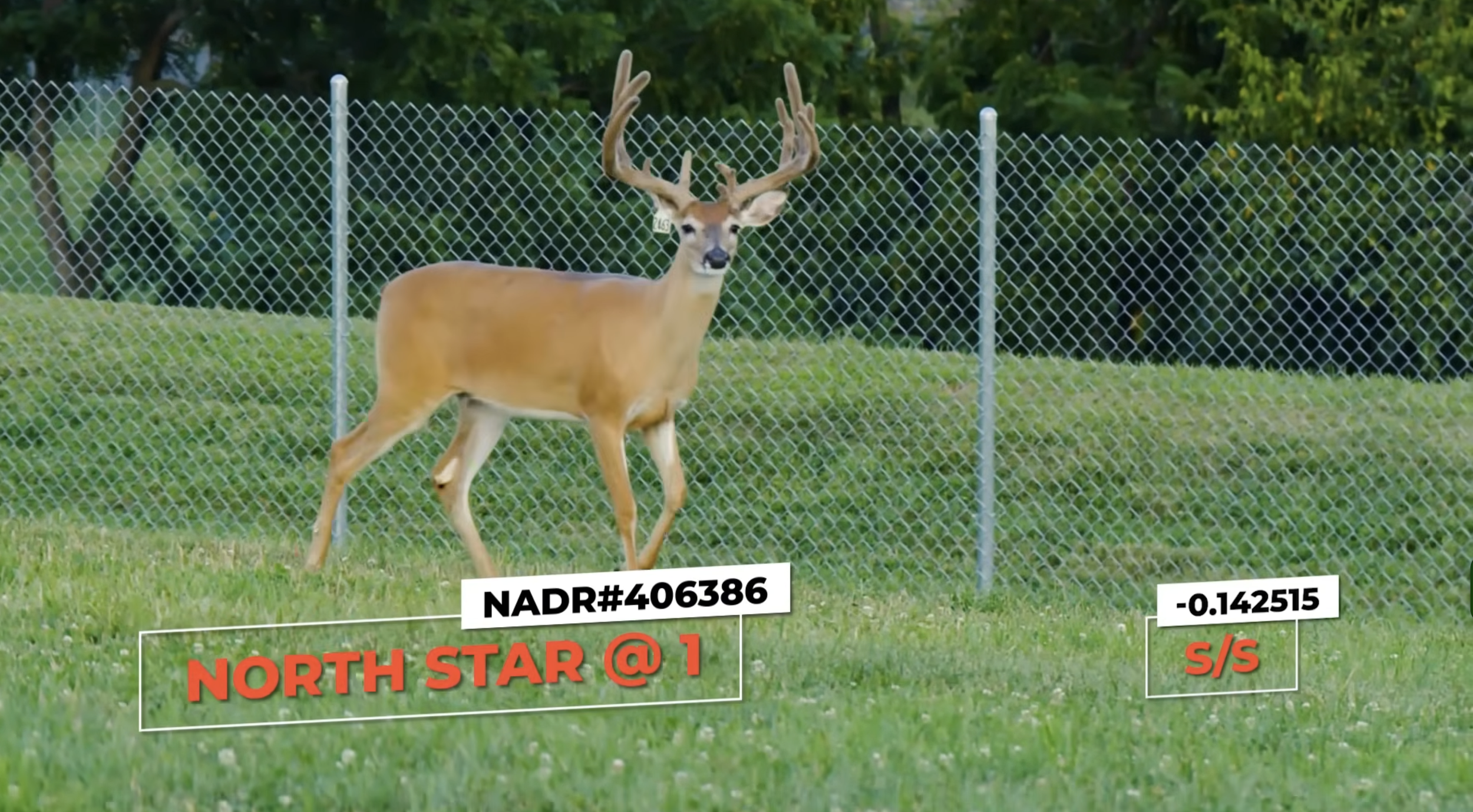 Screenshot 2026-01-23 at 2.53.58 PM.png