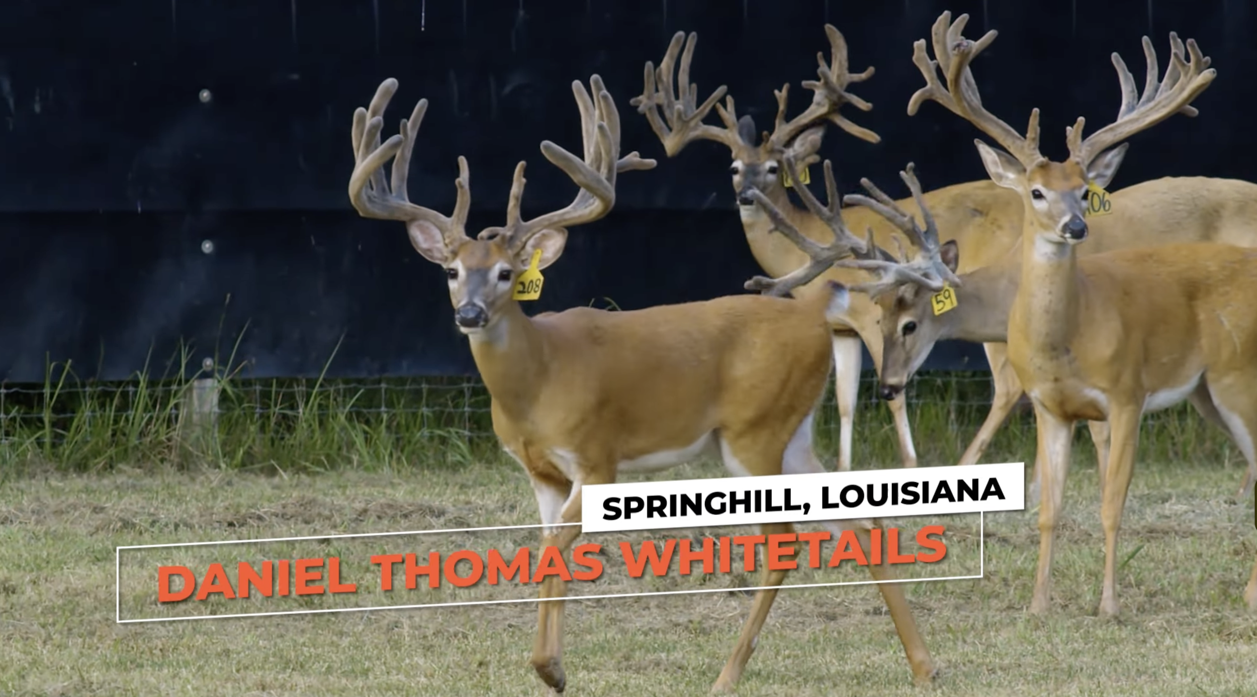 Screenshot 2026-01-26 at 12.21.31 PM.png