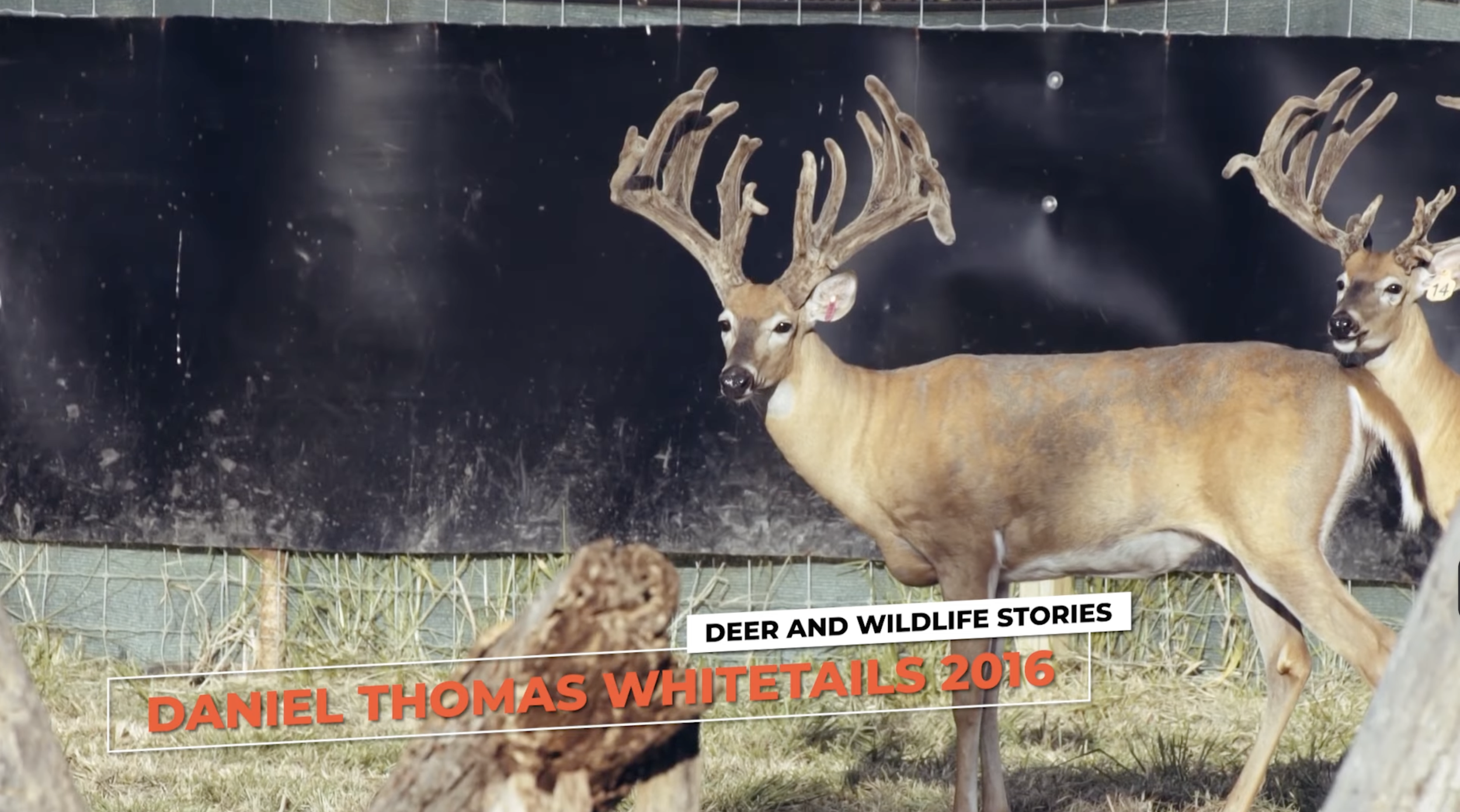 Screenshot 2026-01-26 at 12.23.23 PM.png