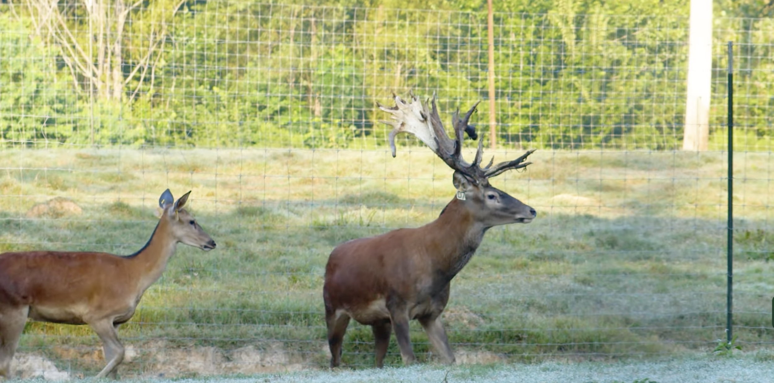 Screenshot 2026-01-26 at 12.28.20 PM.png