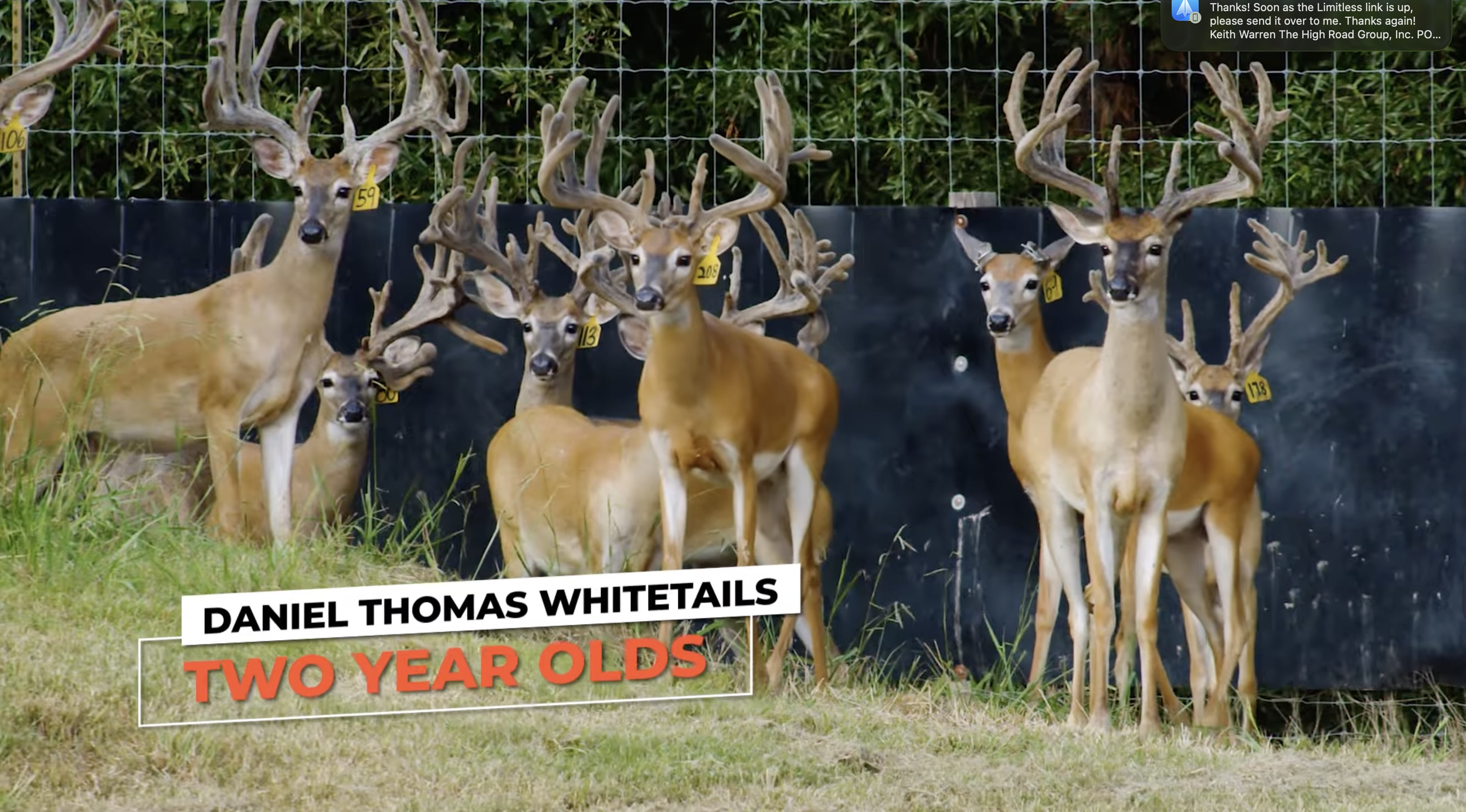 Screenshot 2026-01-26 at 12.29.40 PM.png