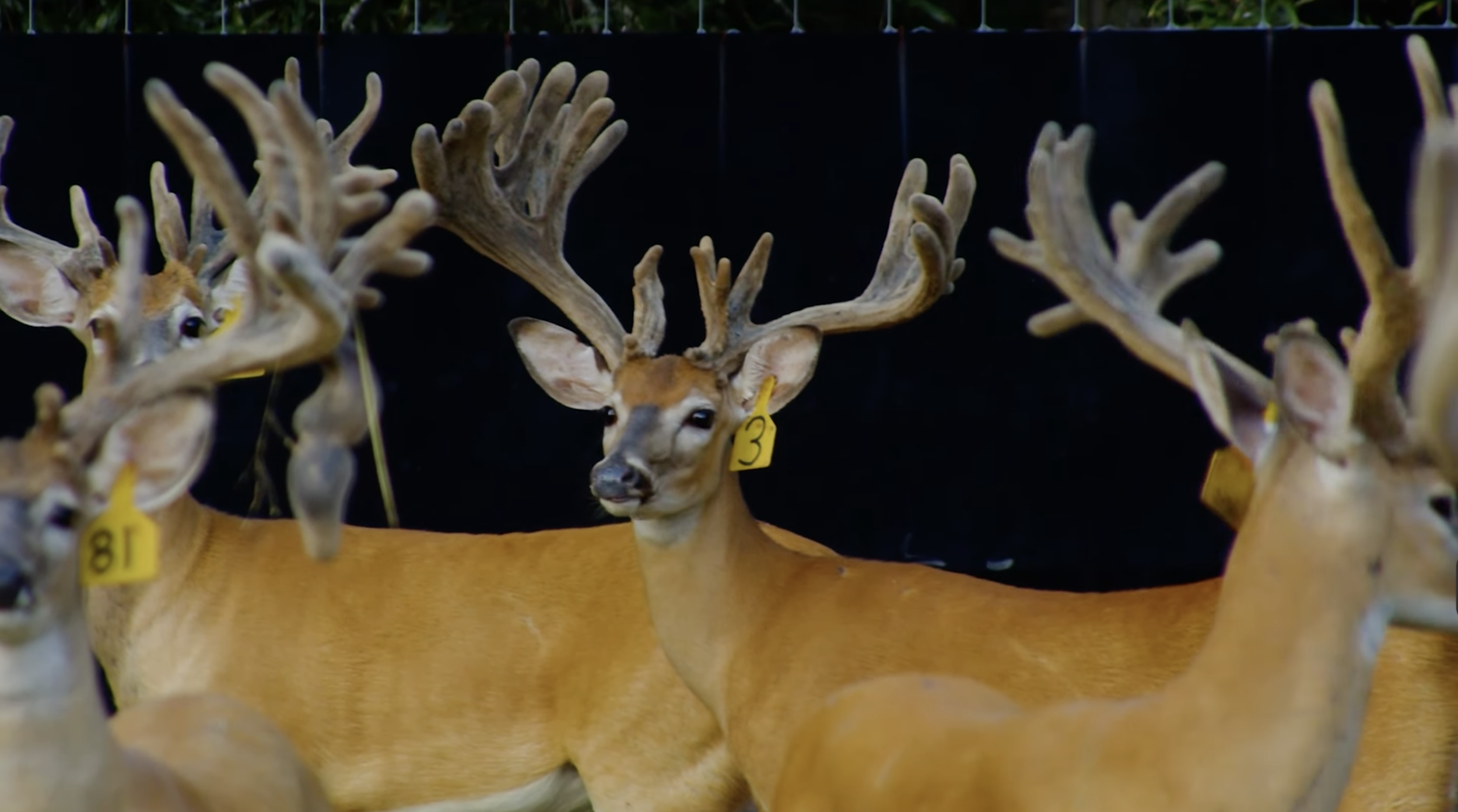 Screenshot 2026-01-26 at 12.30.31 PM.png