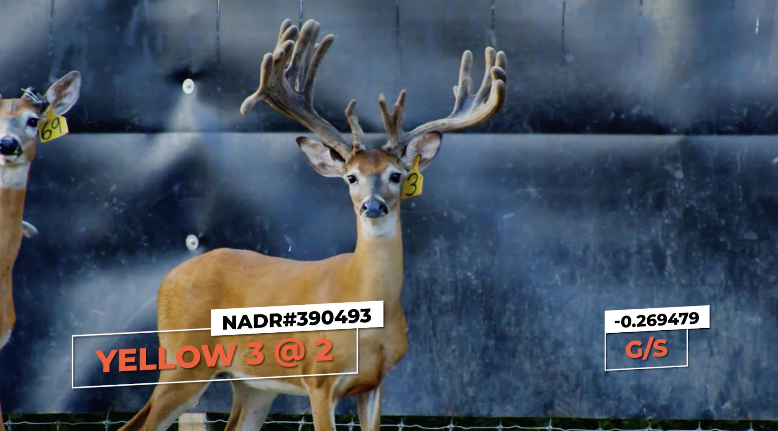 Screenshot 2026-01-26 at 12.31.01 PM.png