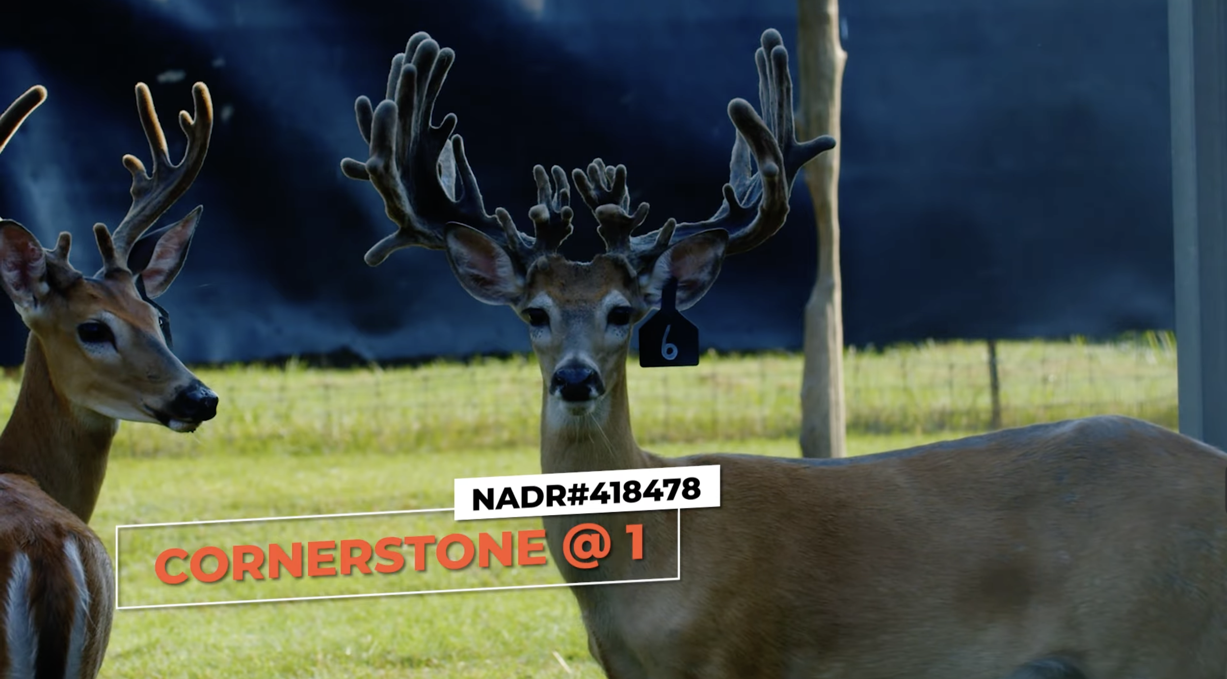 Screenshot 2026-01-26 at 12.32.38 PM.png