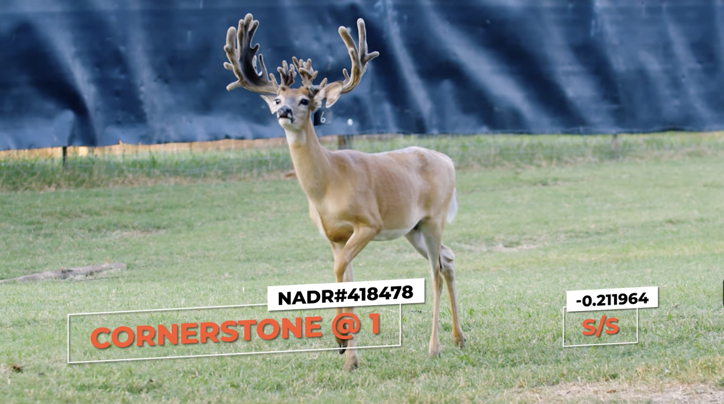 Screenshot 2026-01-26 at 12.33.00 PM.png