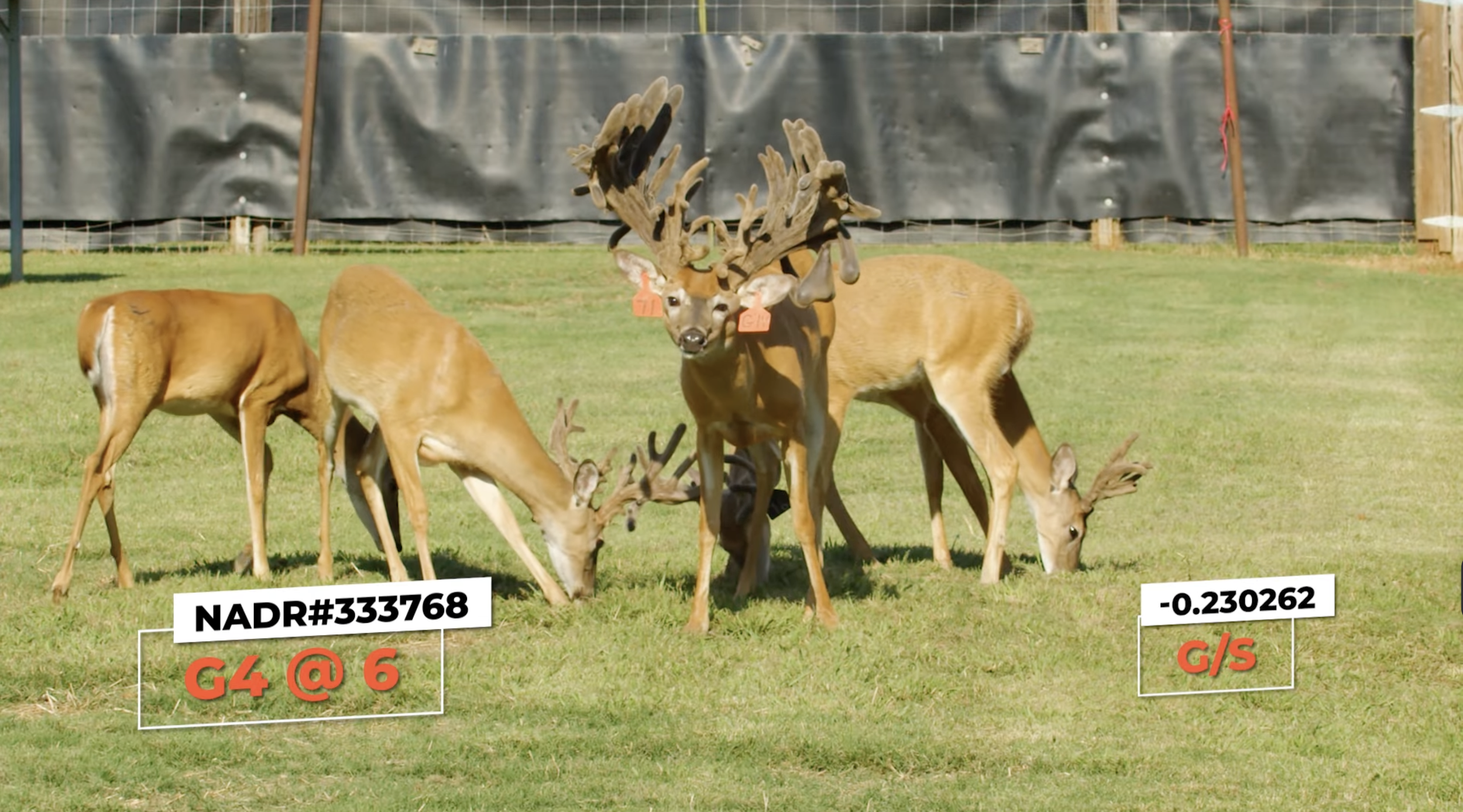 Screenshot 2026-01-26 at 12.33.58 PM.png