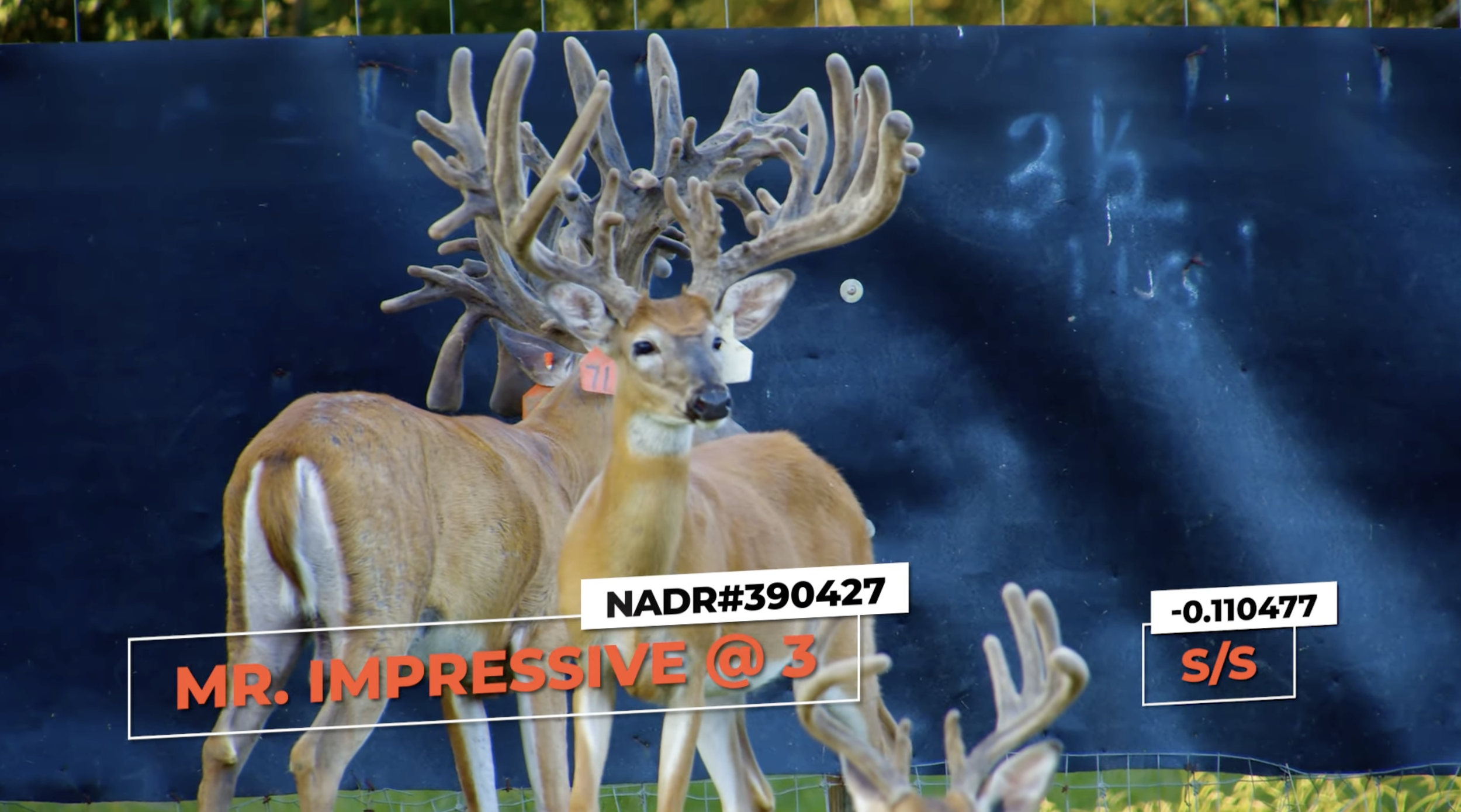 Screenshot 2026-01-26 at 12.34.44 PM.png