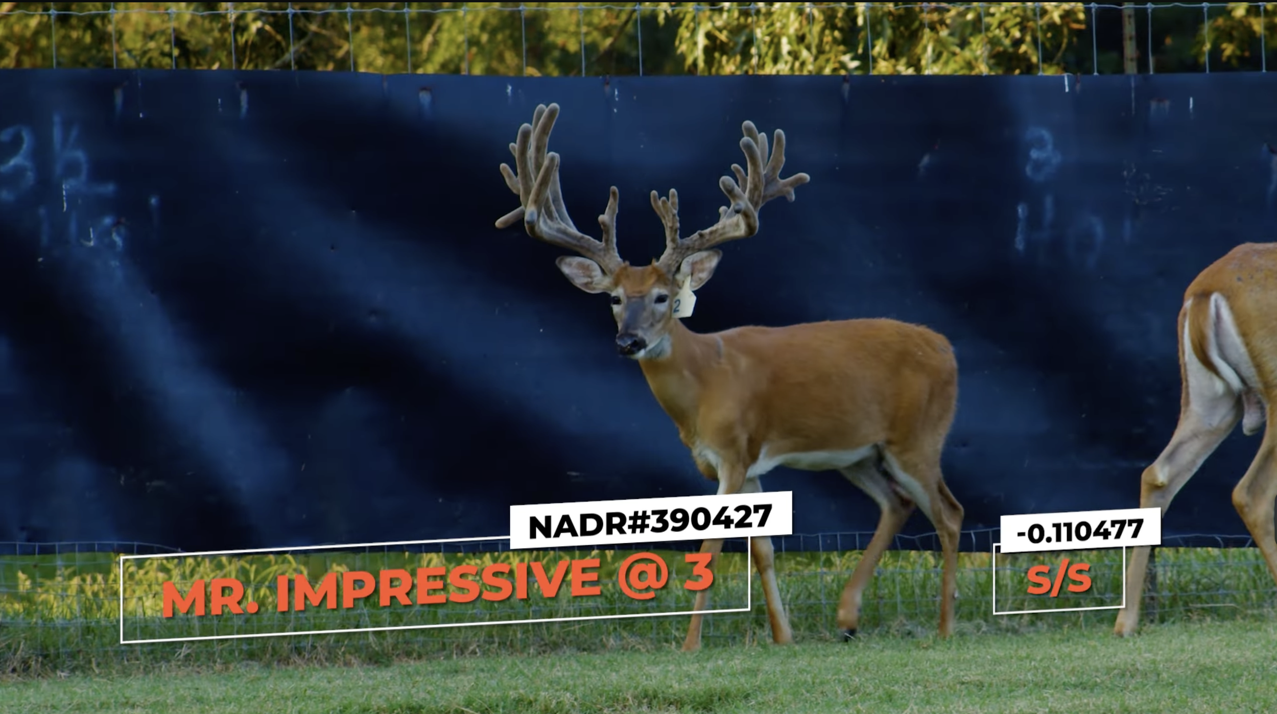 Screenshot 2026-01-26 at 12.35.06 PM.png