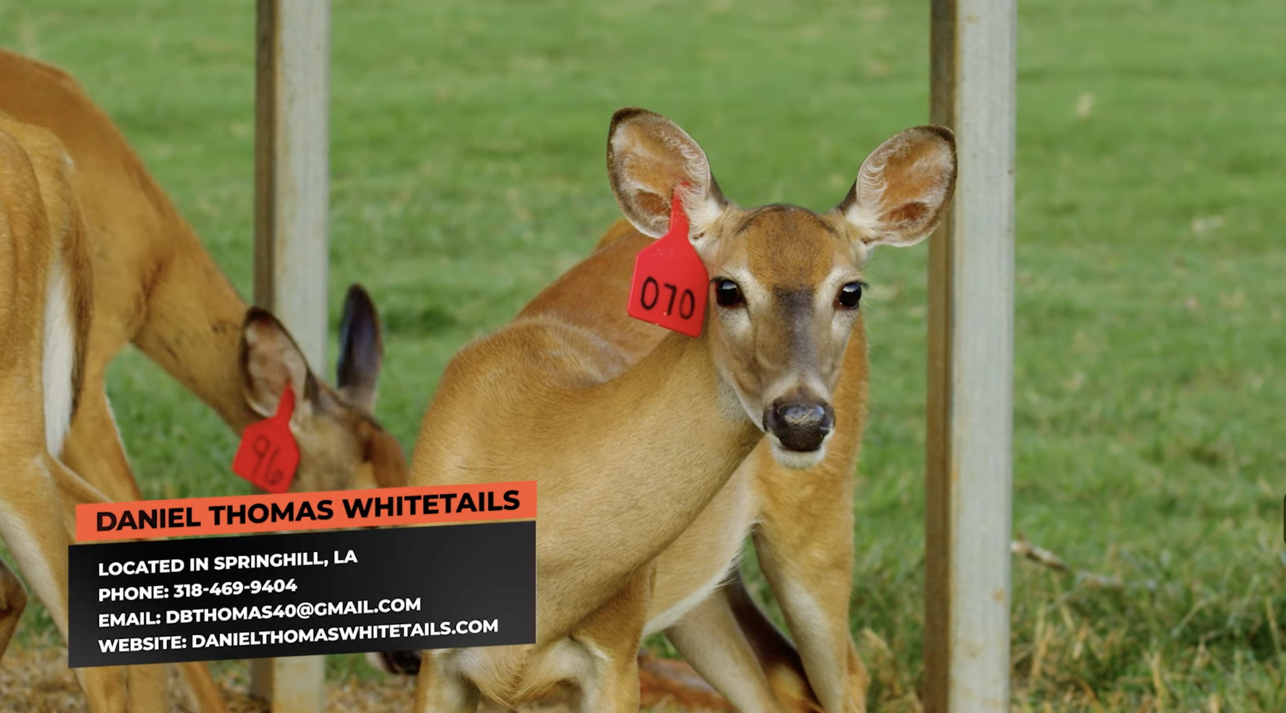 Screenshot 2026-01-26 at 12.36.03 PM.png