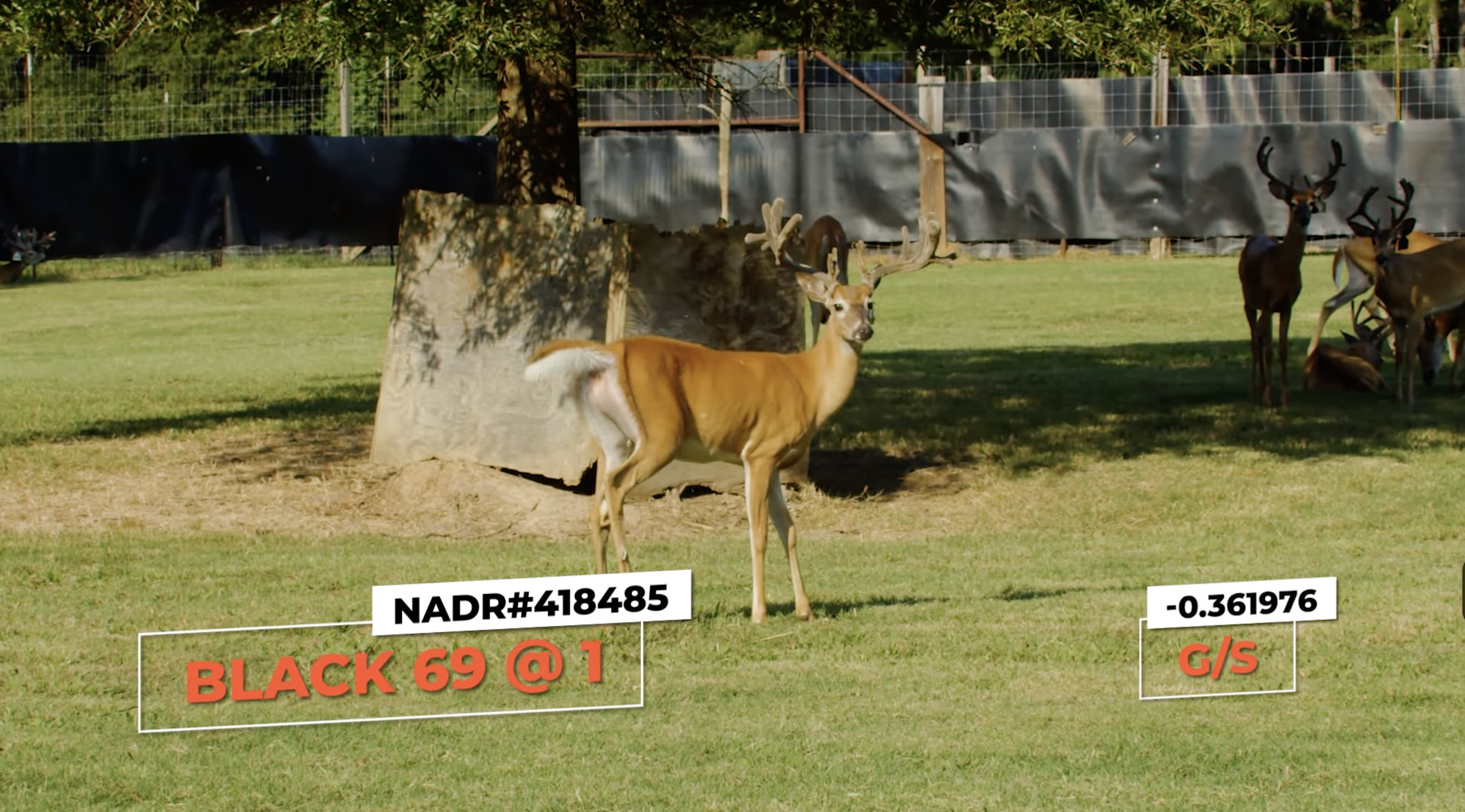 Screenshot 2026-01-26 at 12.36.23 PM.png