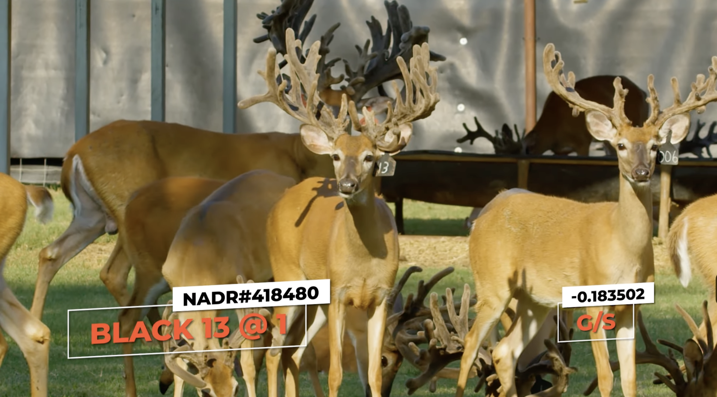 Screenshot 2026-01-26 at 12.36.40 PM.png