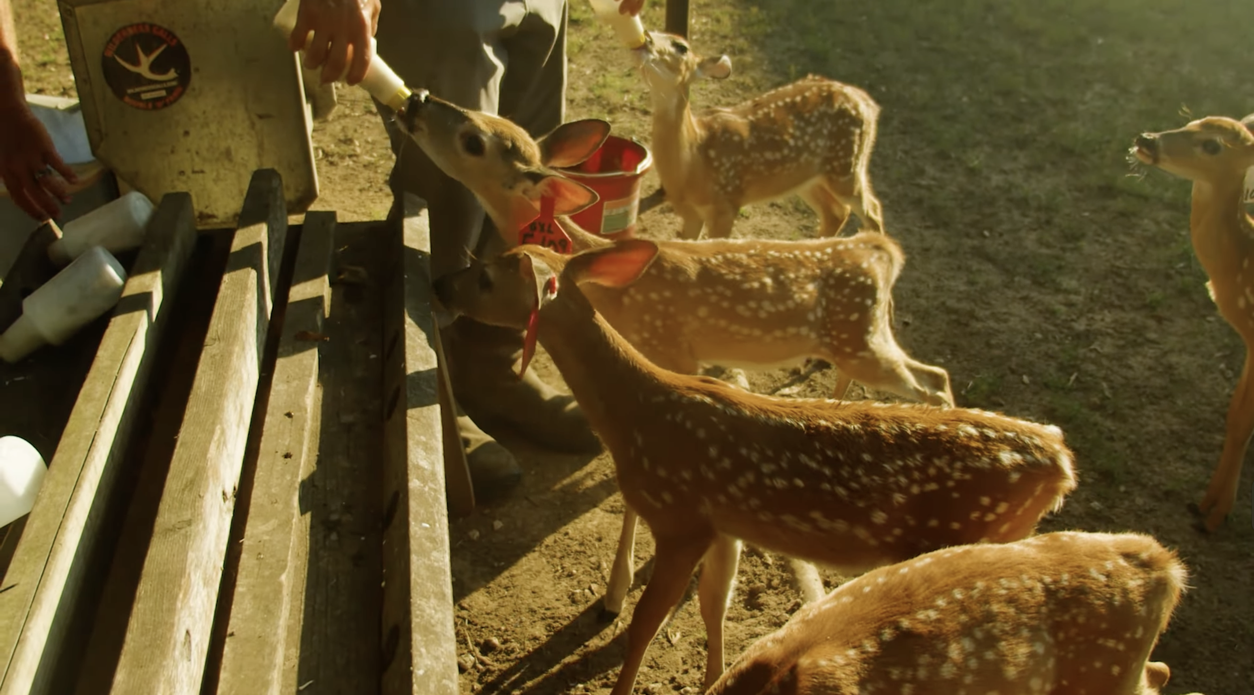 Screenshot 2026-01-26 at 12.37.48 PM.png