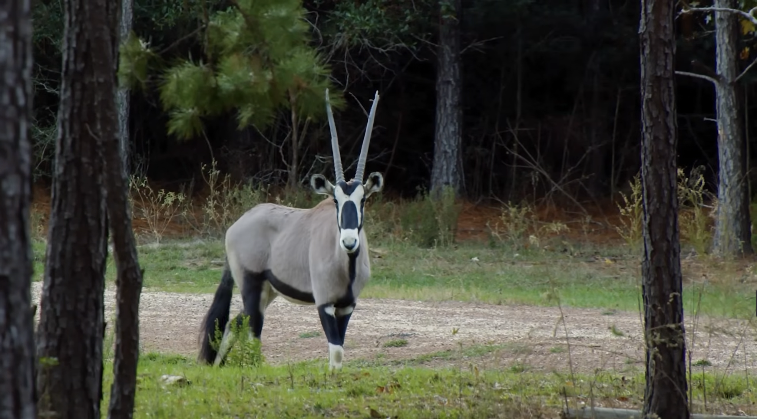 Screenshot 2026-01-26 at 3.47.05 PM.png