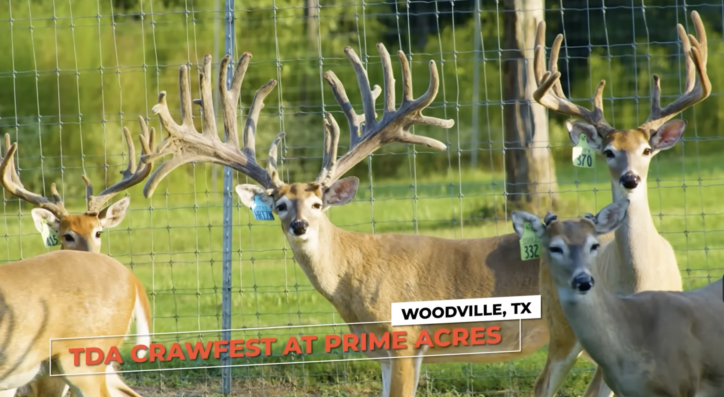 Screenshot 2026-01-26 at 3.45.49 PM.png