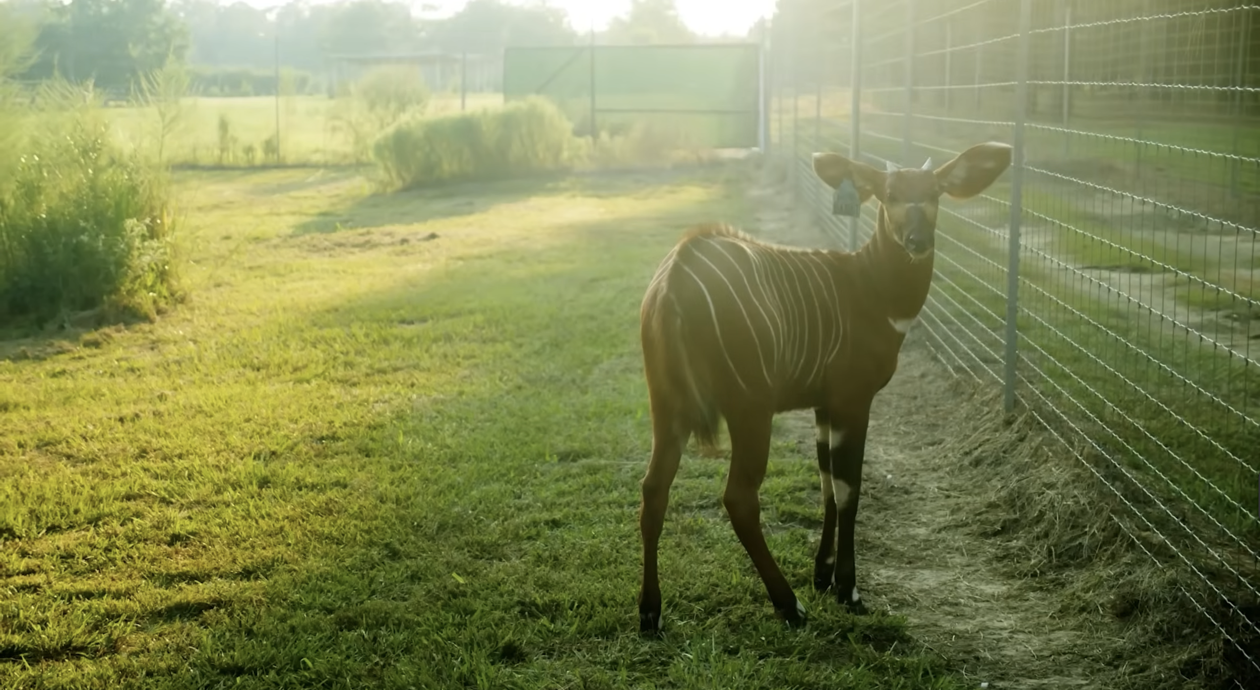 Screenshot 2026-01-26 at 3.47.40 PM.png