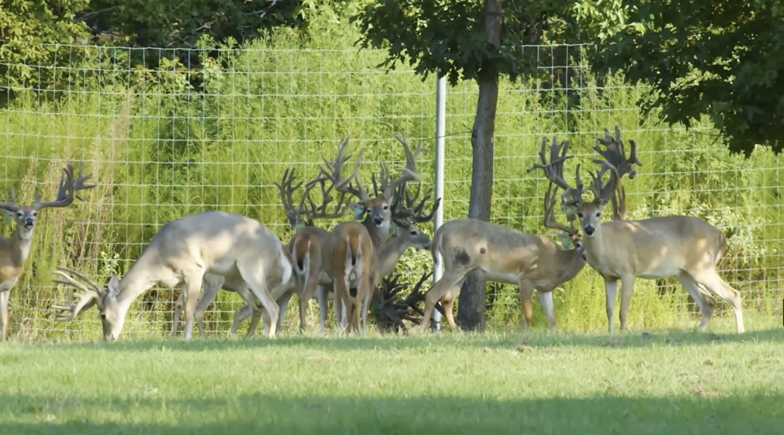 Screenshot 2026-01-26 at 3.52.14 PM.png