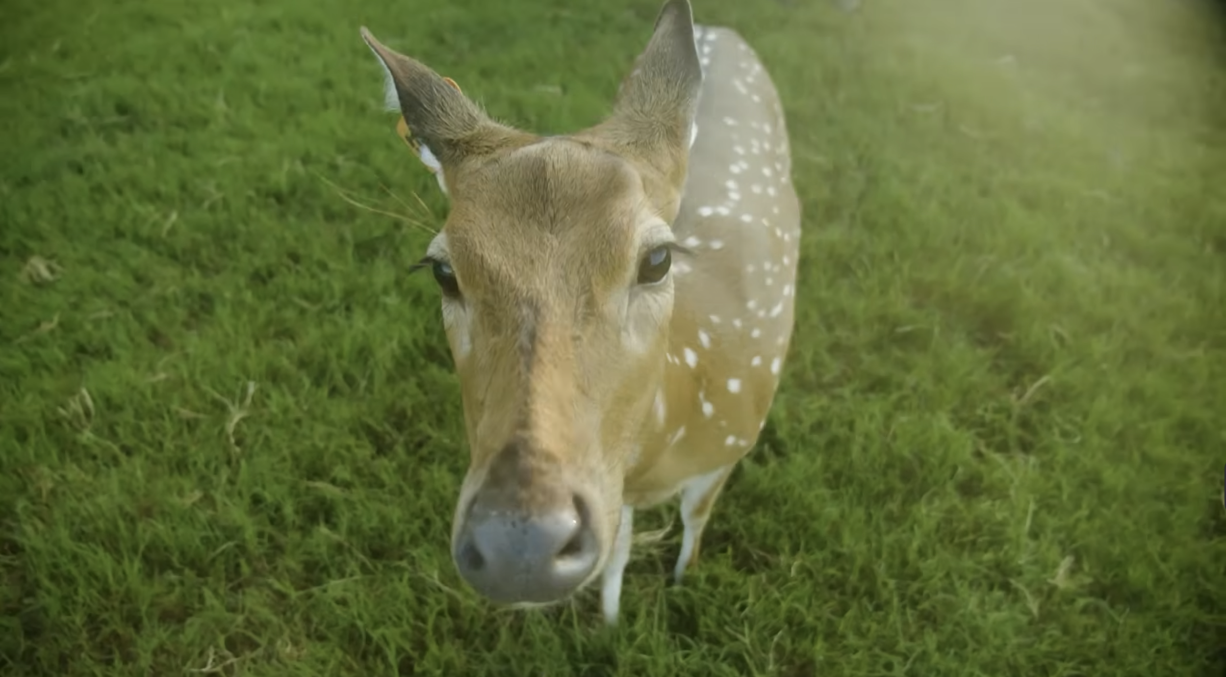 Screenshot 2026-01-26 at 3.48.52 PM.png