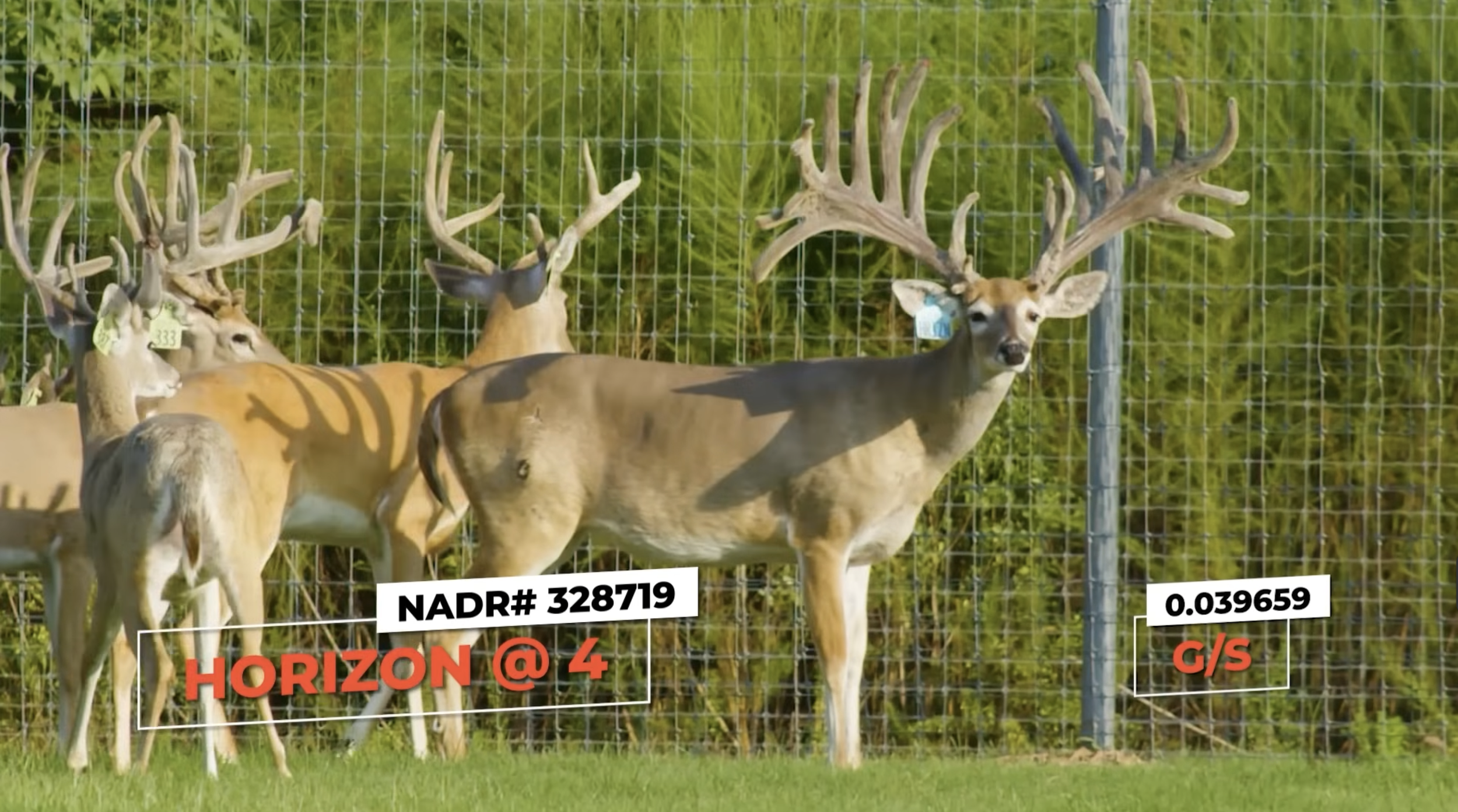 Screenshot 2026-01-26 at 3.53.02 PM.png