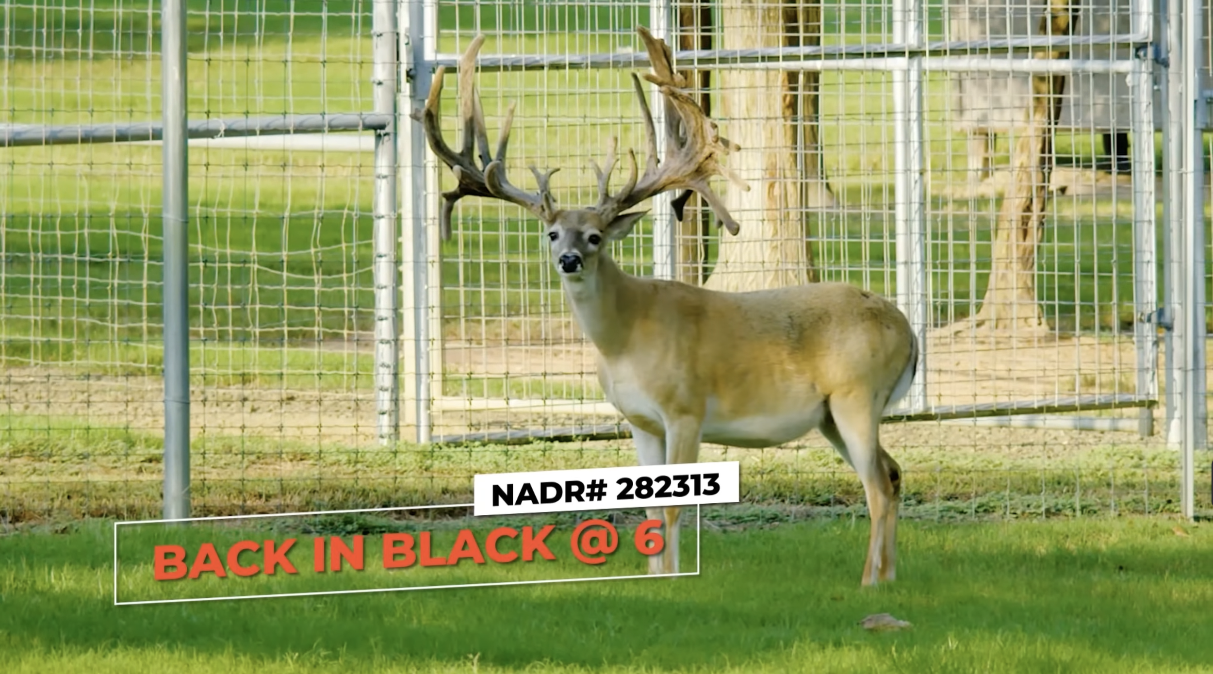 Screenshot 2026-01-26 at 3.52.28 PM.png