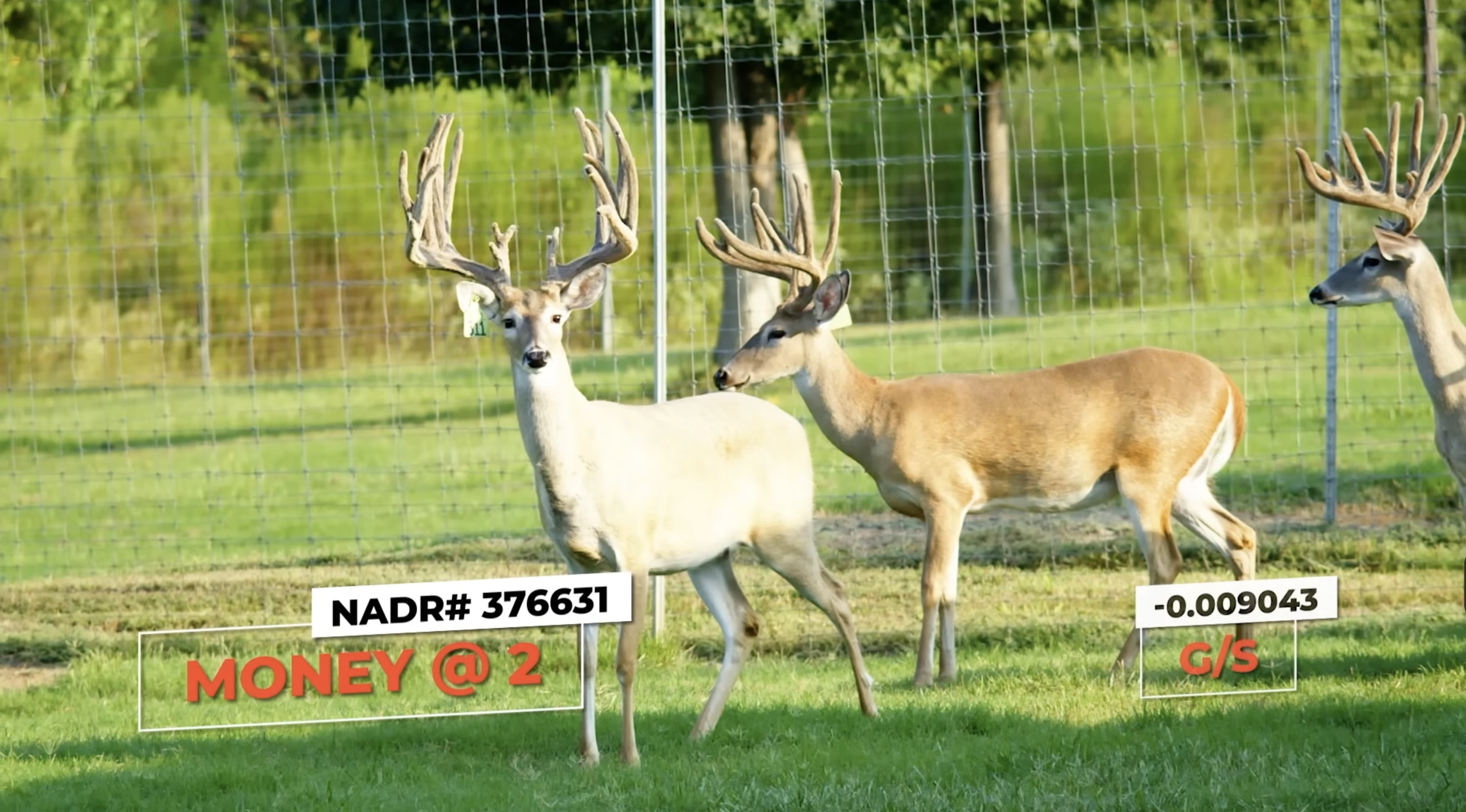 Screenshot 2026-01-26 at 3.53.43 PM.png