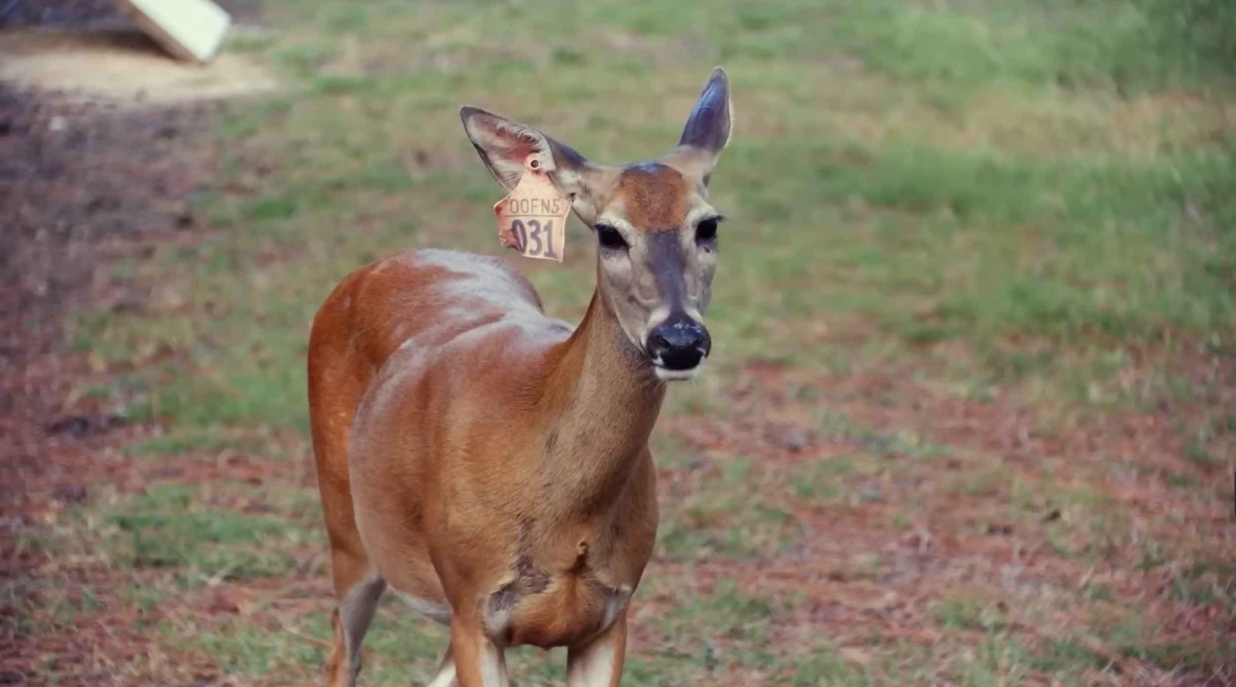 Screenshot 2026-01-26 at 3.54.04 PM.png