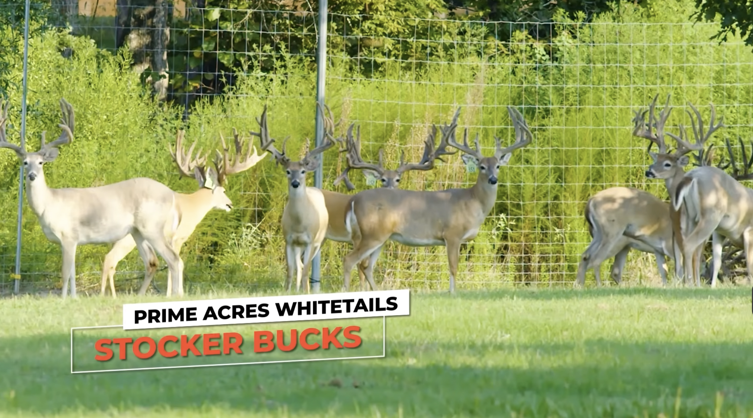 Screenshot 2026-01-26 at 3.54.40 PM.png