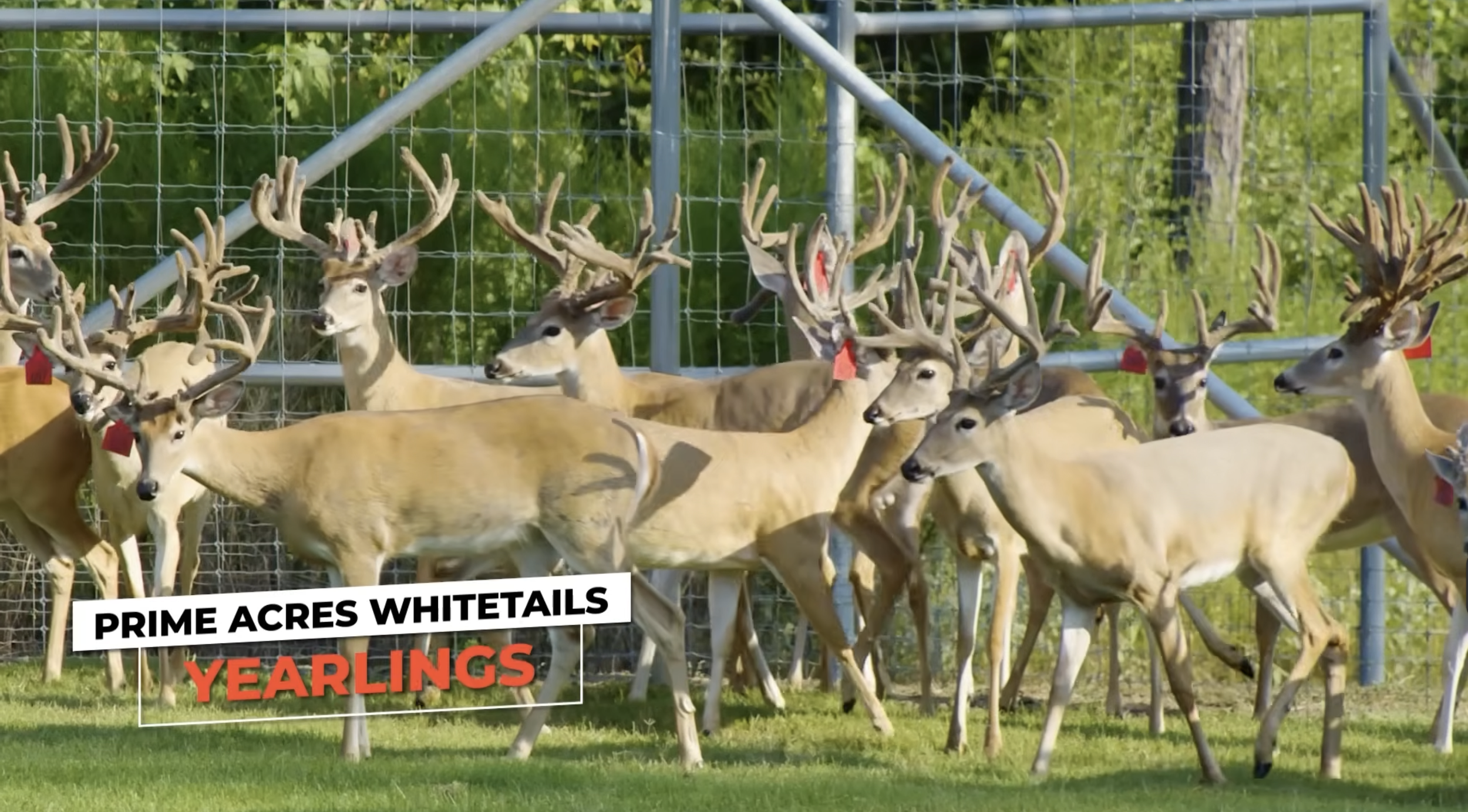 Screenshot 2026-01-26 at 3.55.06 PM.png