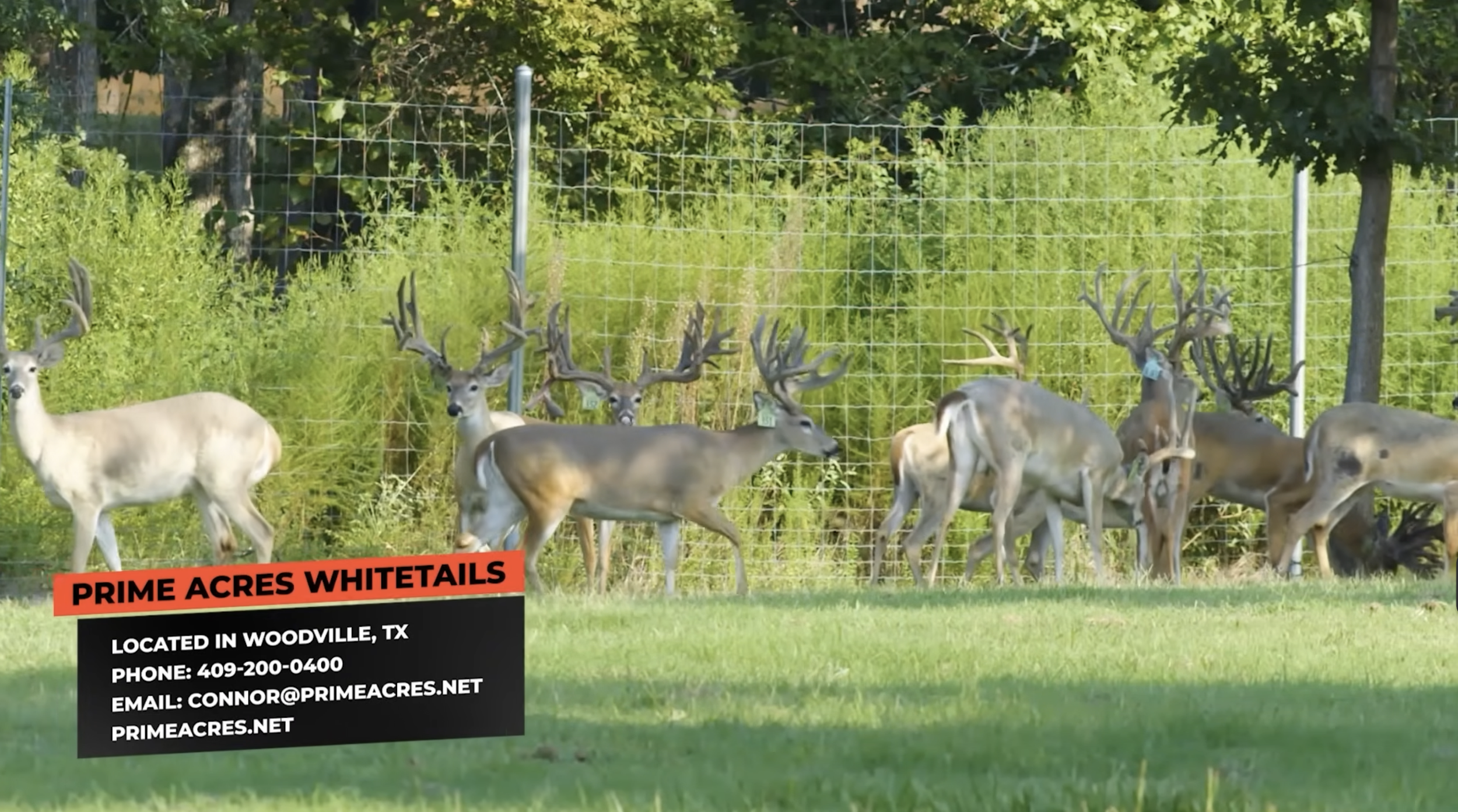 Screenshot 2026-01-26 at 3.55.39 PM.png