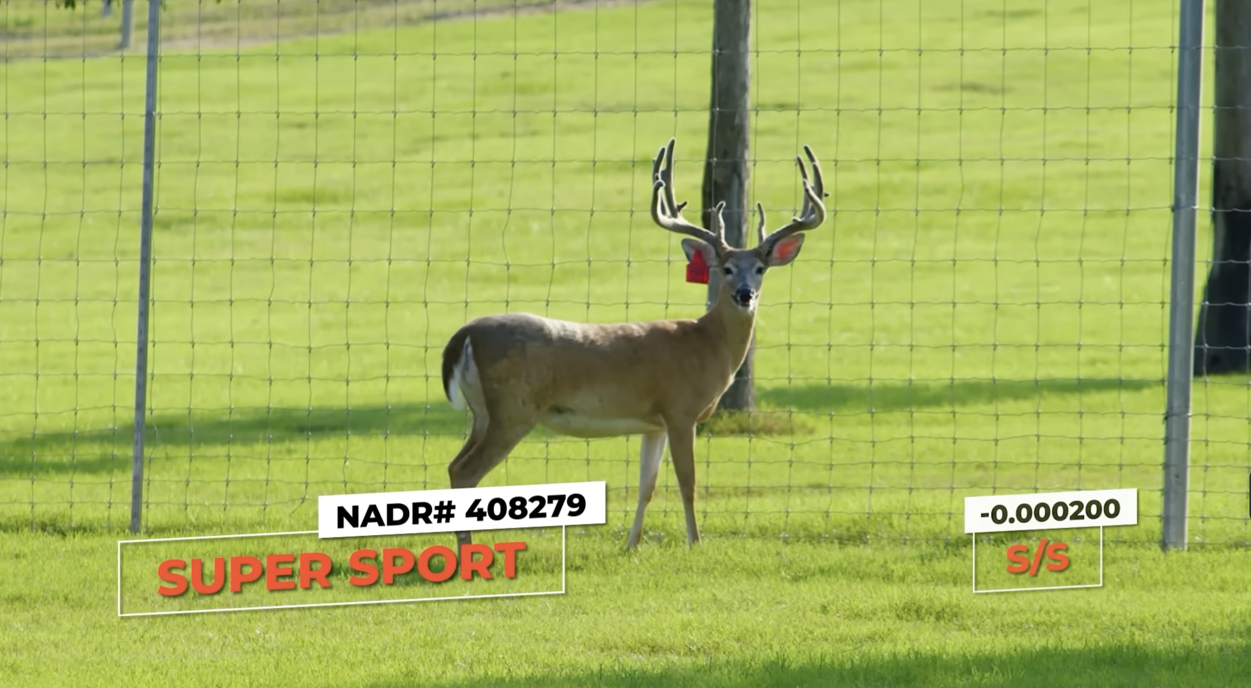 Screenshot 2026-01-26 at 3.58.01 PM.png