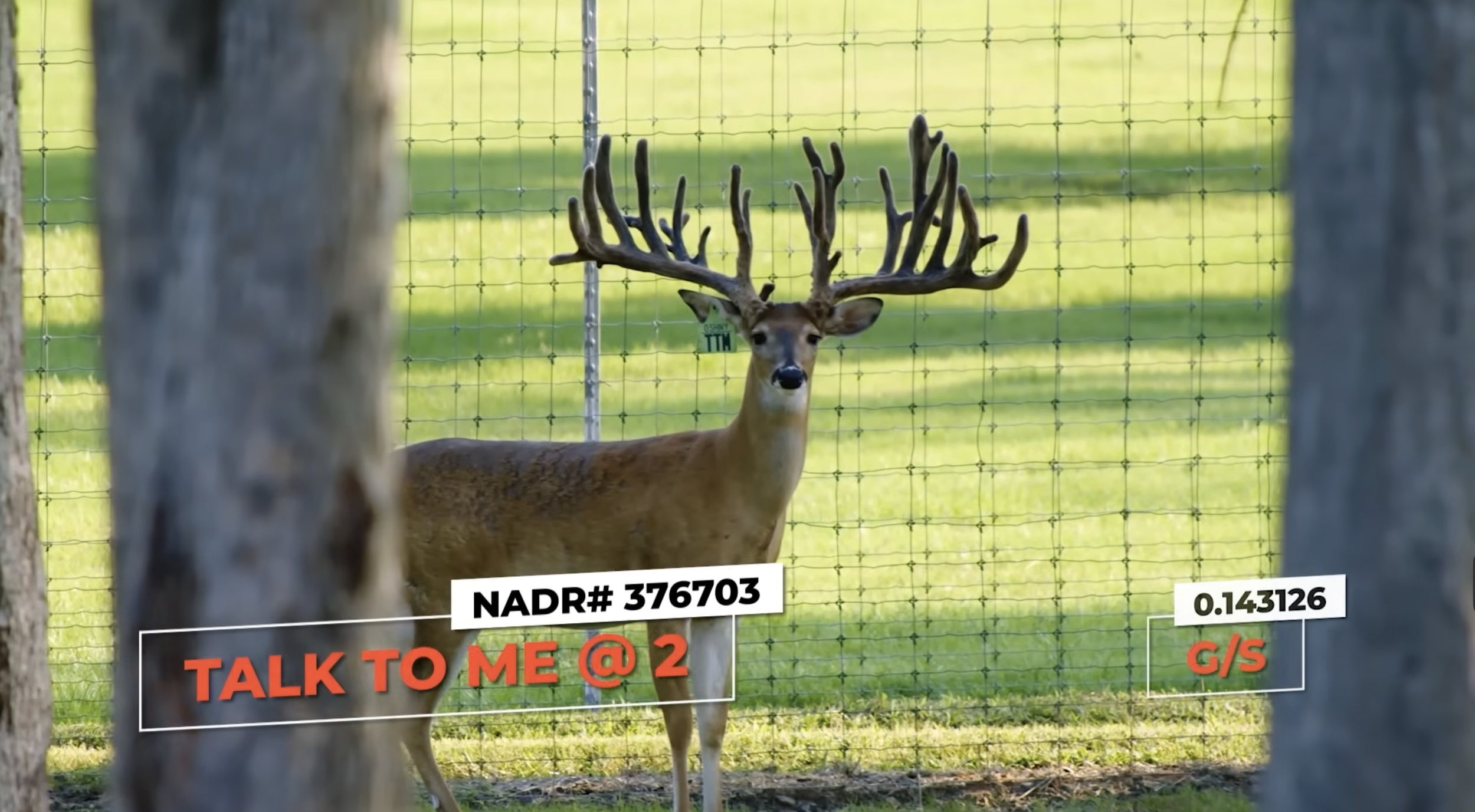 Screenshot 2026-01-26 at 3.56.47 PM.png