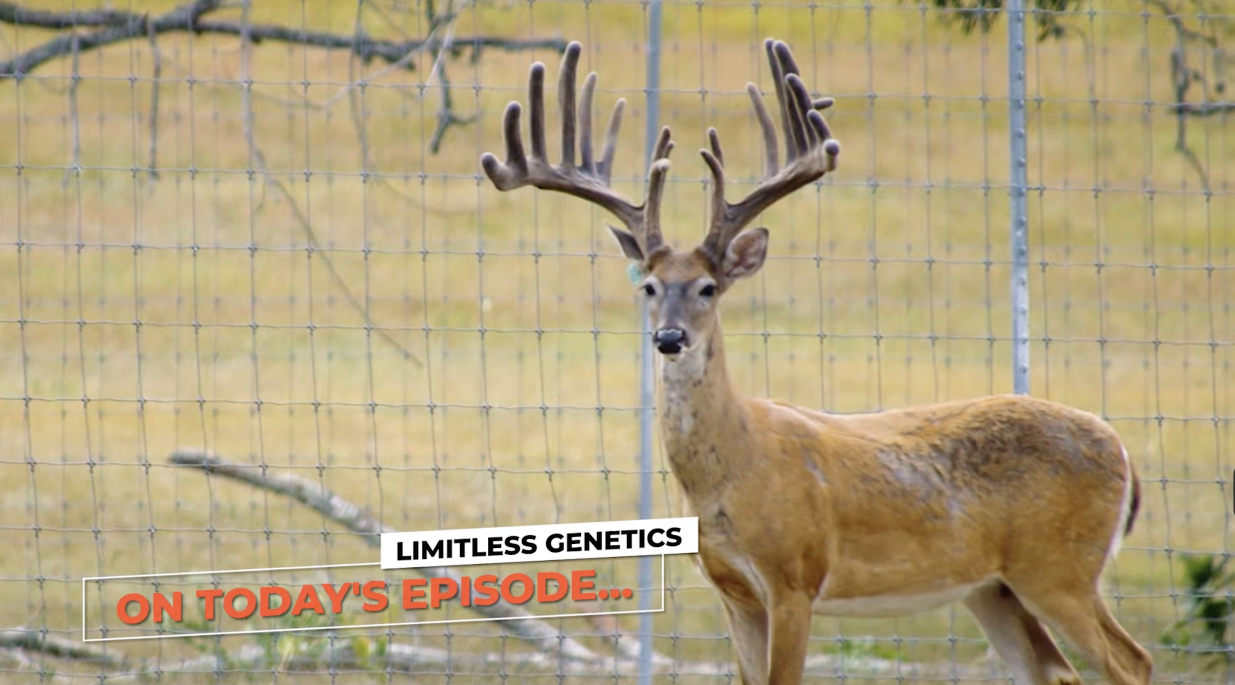 Screenshot 2026-01-27 at 4.30.15 PM.png