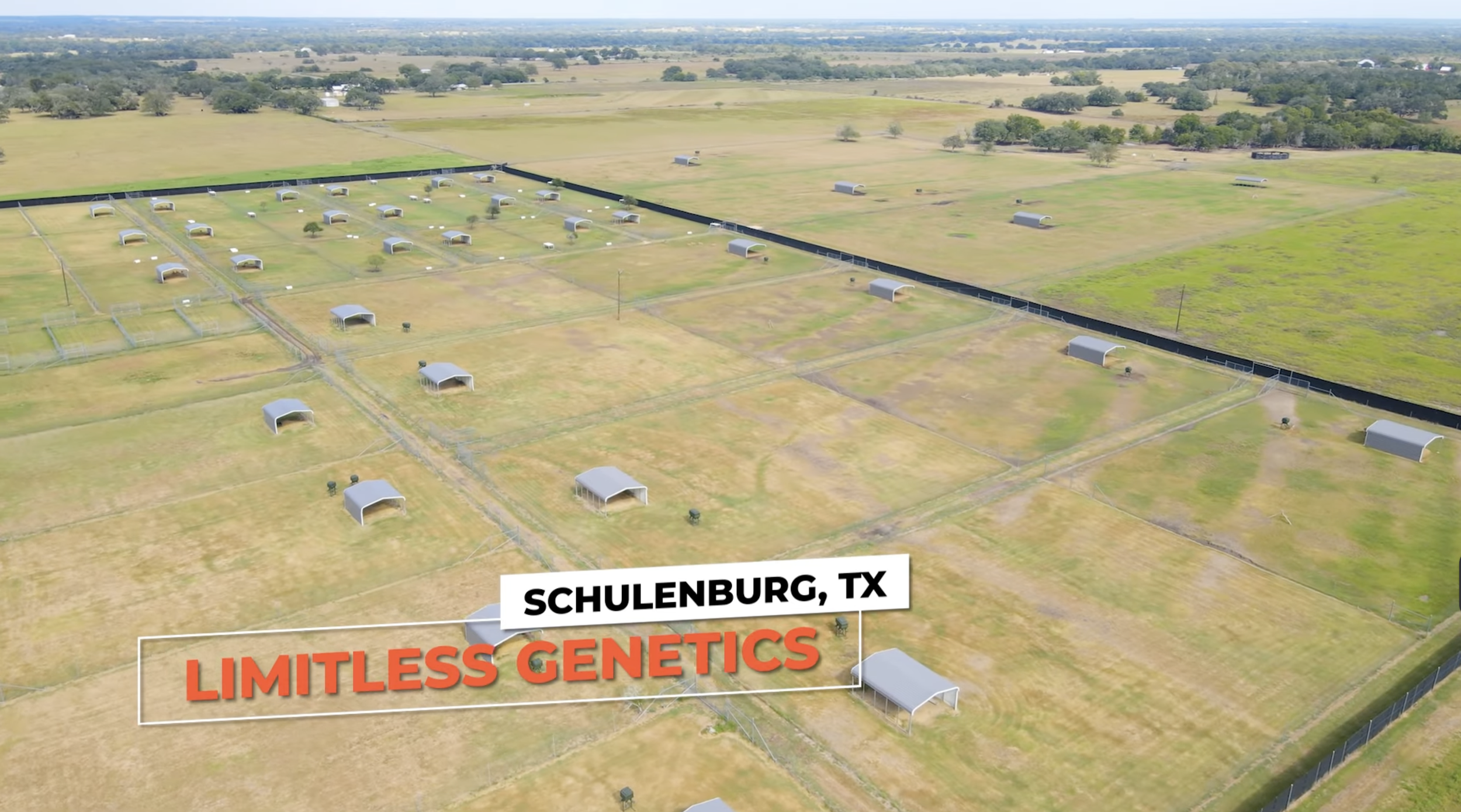 Screenshot 2026-01-27 at 4.31.29 PM.png