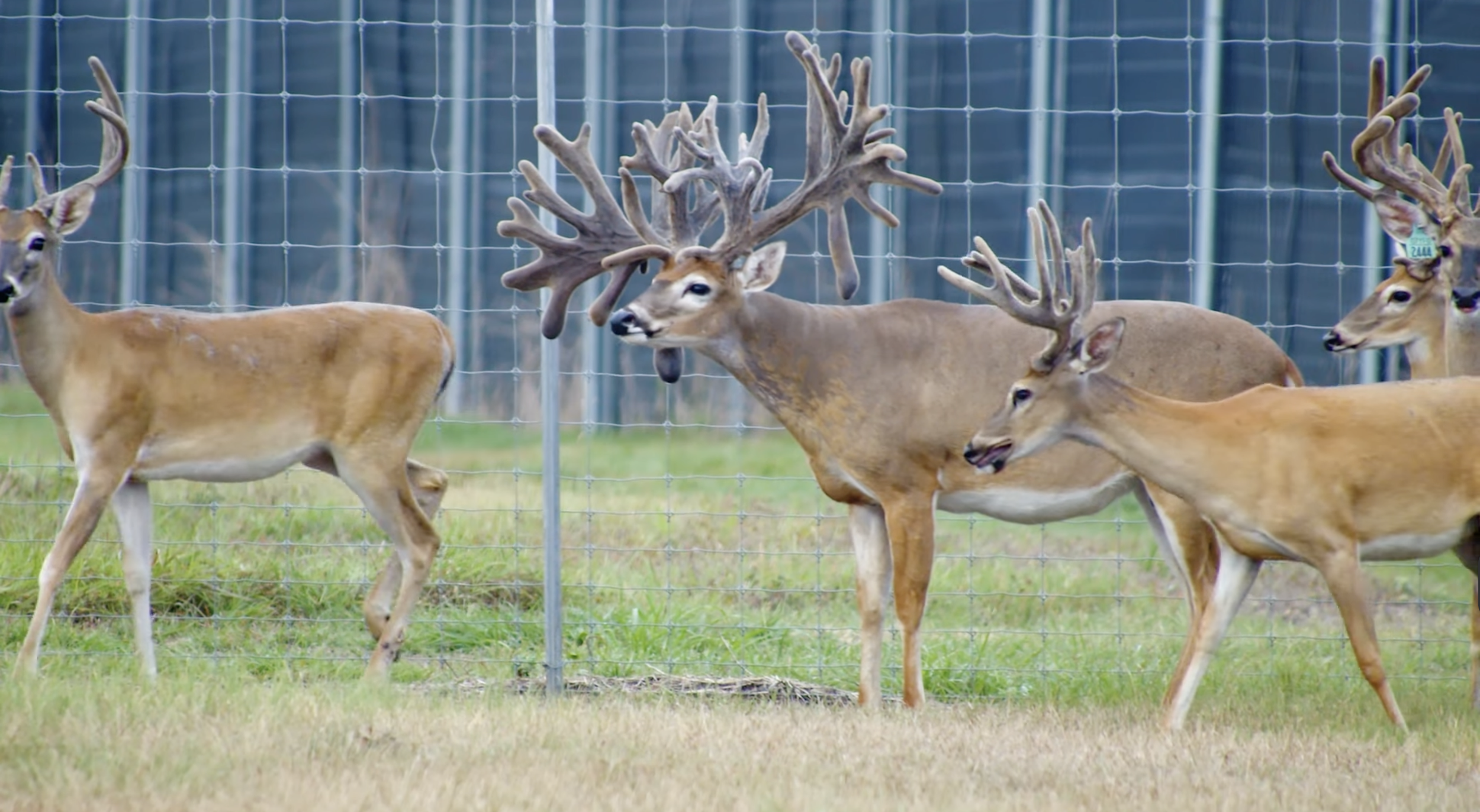 Screenshot 2026-01-27 at 4.33.30 PM.png