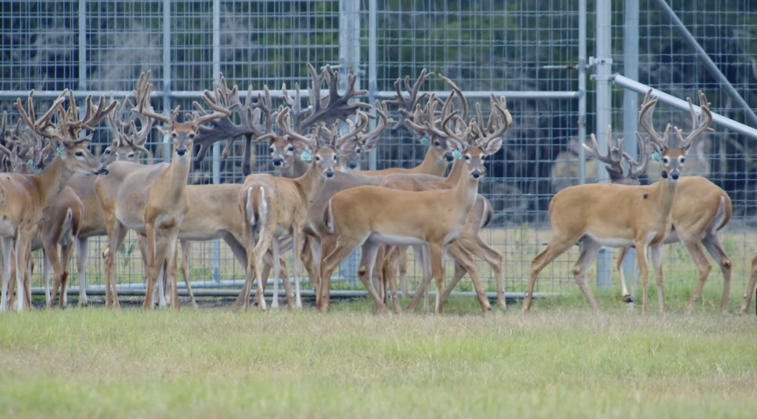 Screenshot 2026-01-27 at 4.33.43 PM.png