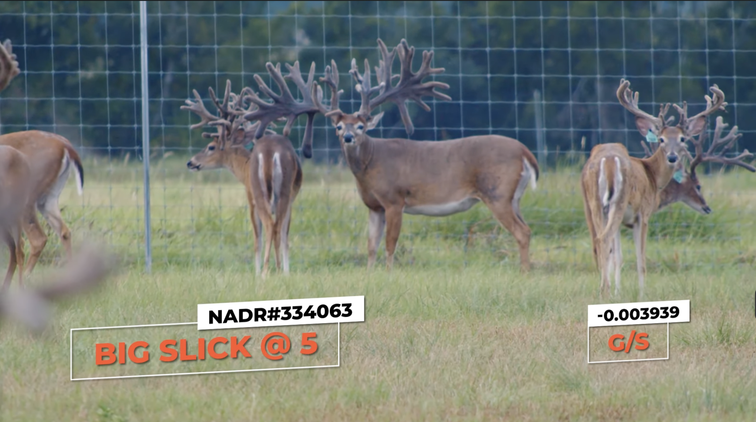 Screenshot 2026-01-27 at 4.34.27 PM.png