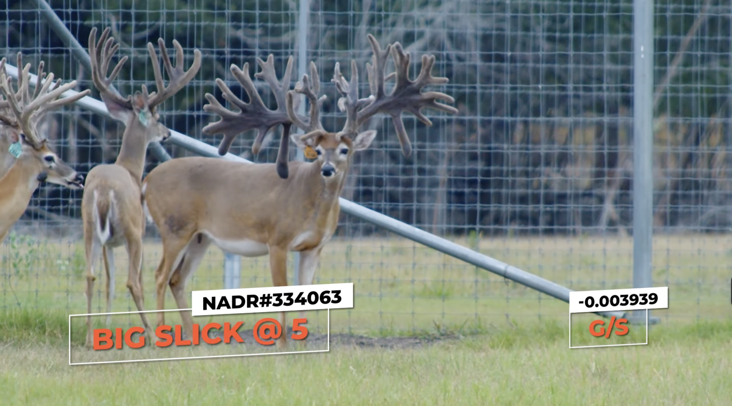 Screenshot 2026-01-27 at 4.34.44 PM.png