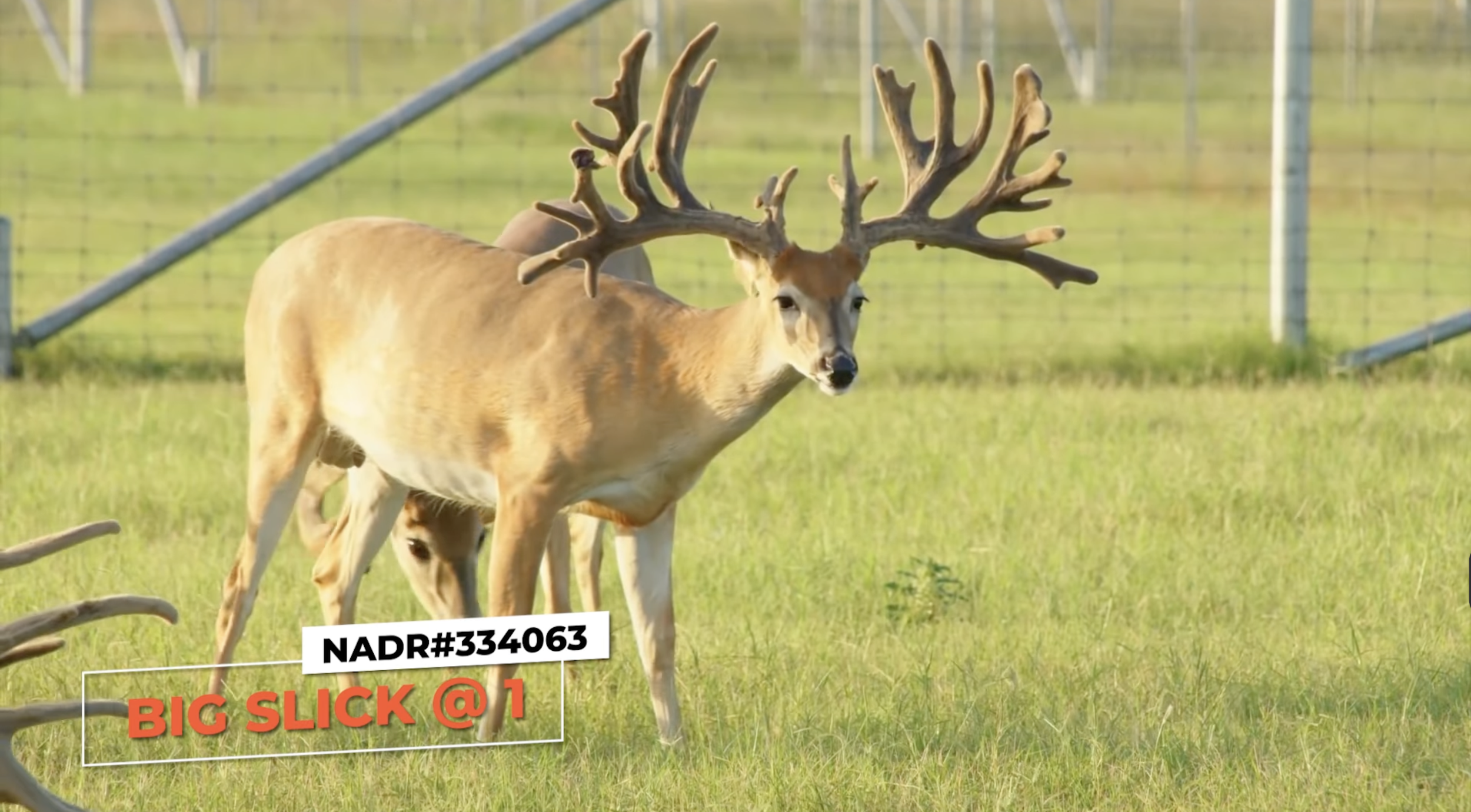 Screenshot 2026-01-27 at 4.35.31 PM.png