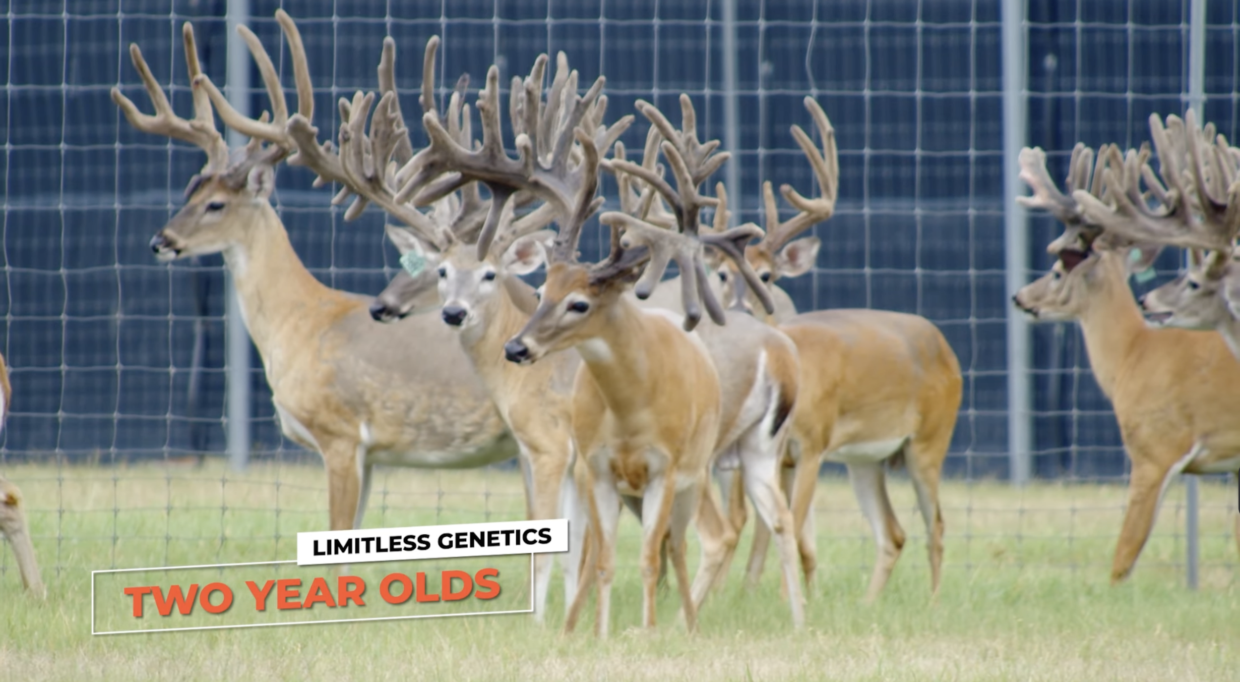 Screenshot 2026-01-27 at 4.37.49 PM.png