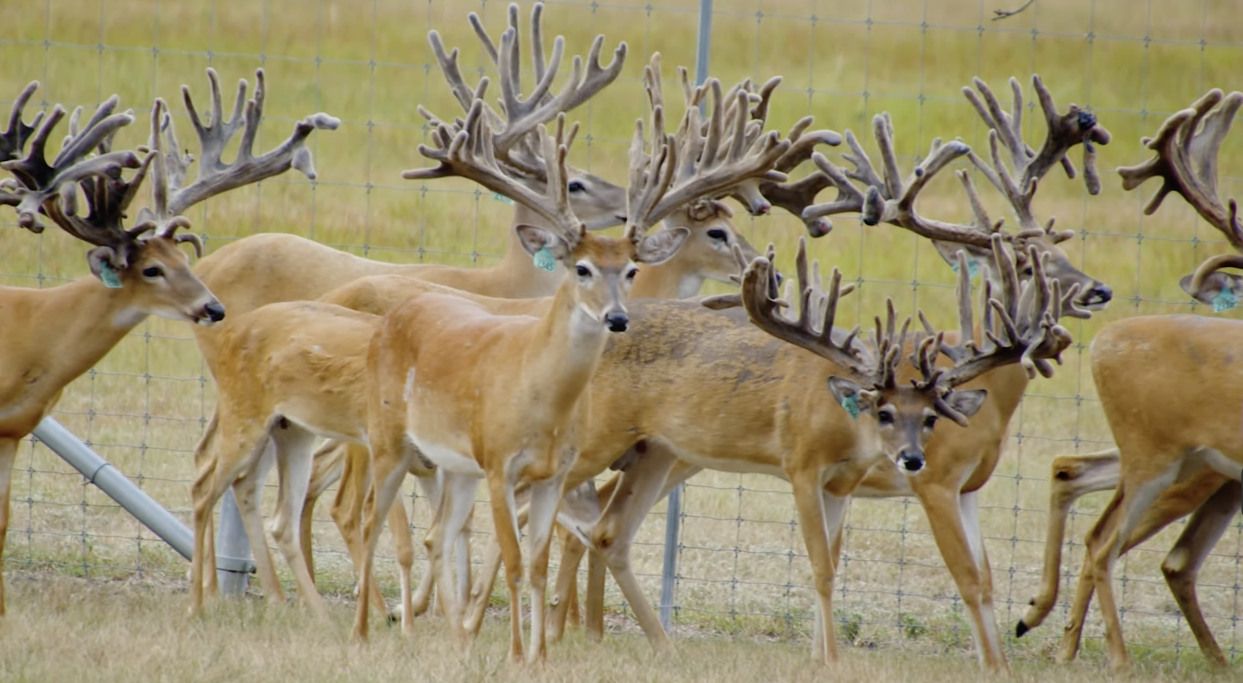 Screenshot 2026-01-27 at 4.38.19 PM.png