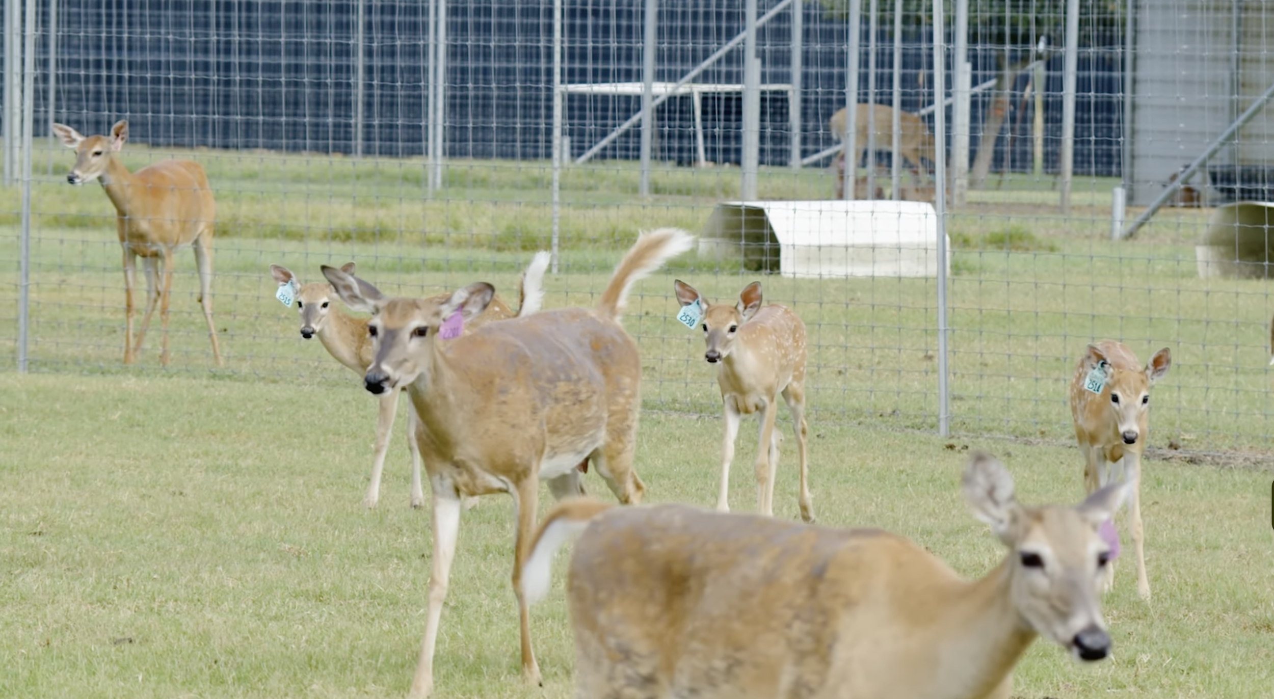 Screenshot 2026-01-27 at 4.38.45 PM.png