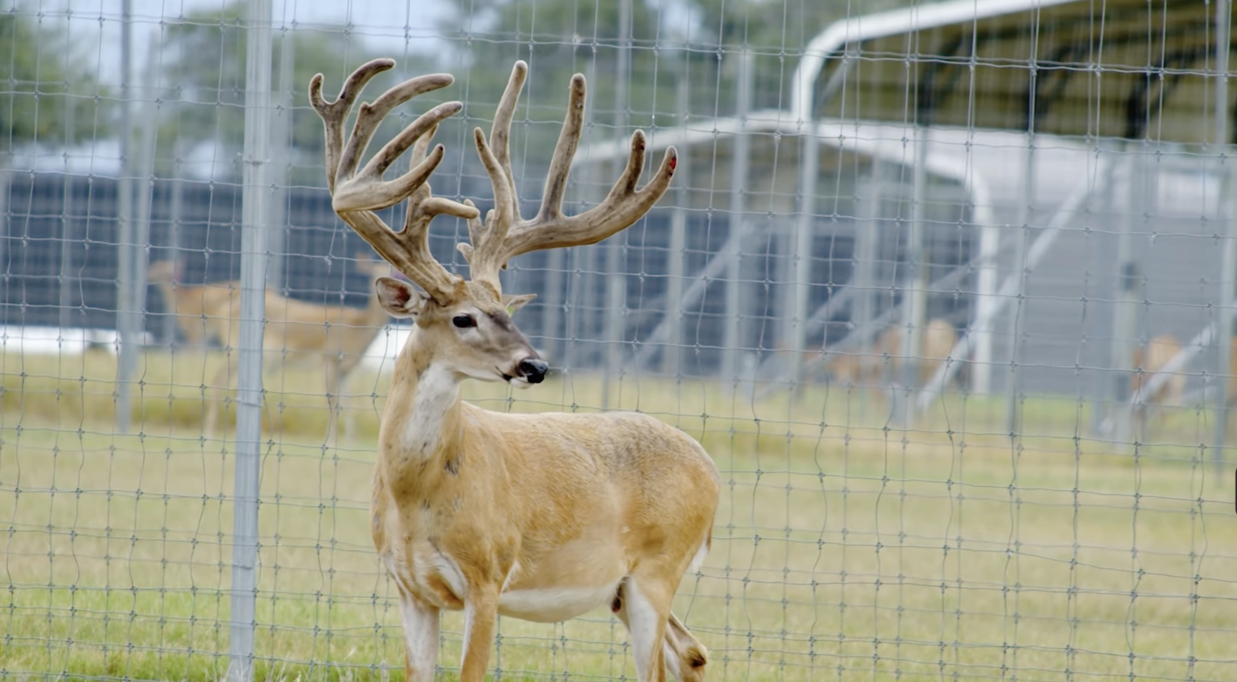 Screenshot 2026-01-27 at 4.39.29 PM.png