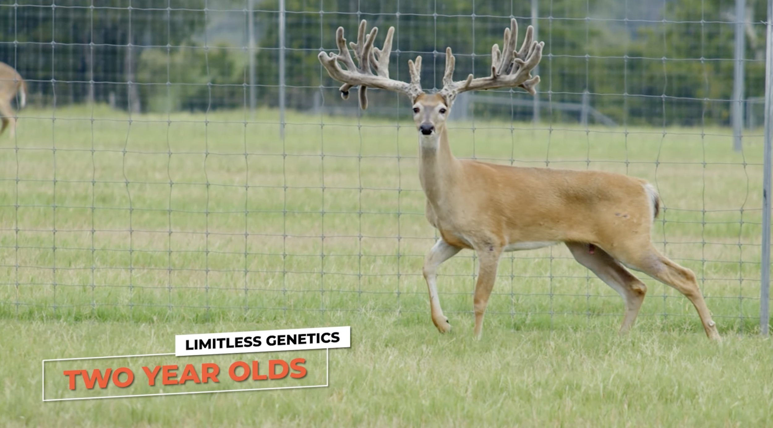 Screenshot 2026-01-27 at 4.40.24 PM.png