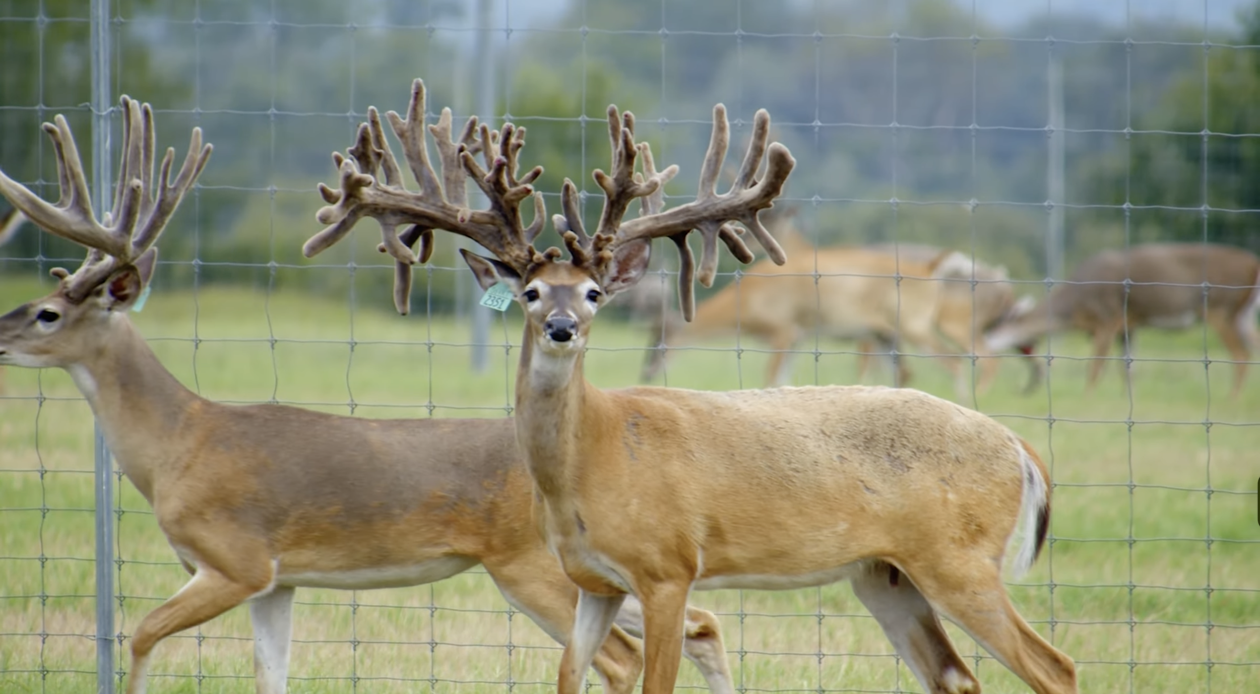 Screenshot 2026-01-27 at 4.40.52 PM.png