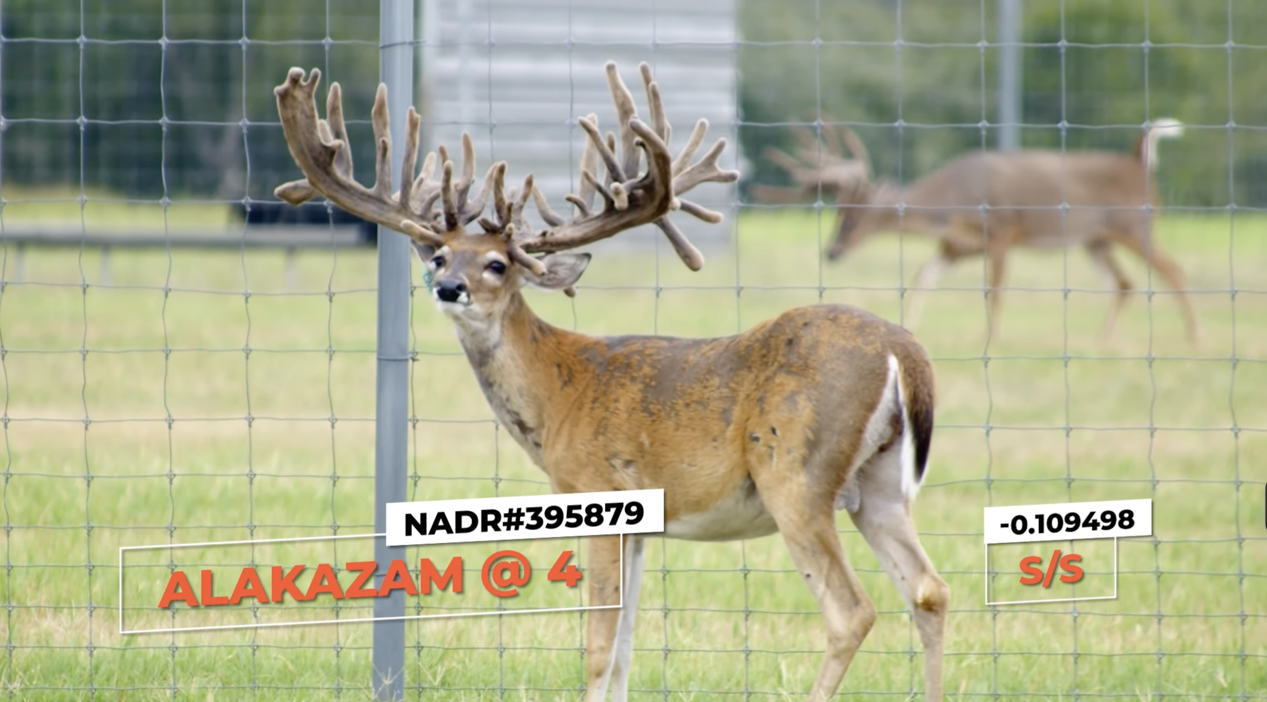 Screenshot 2026-01-27 at 4.41.06 PM.png