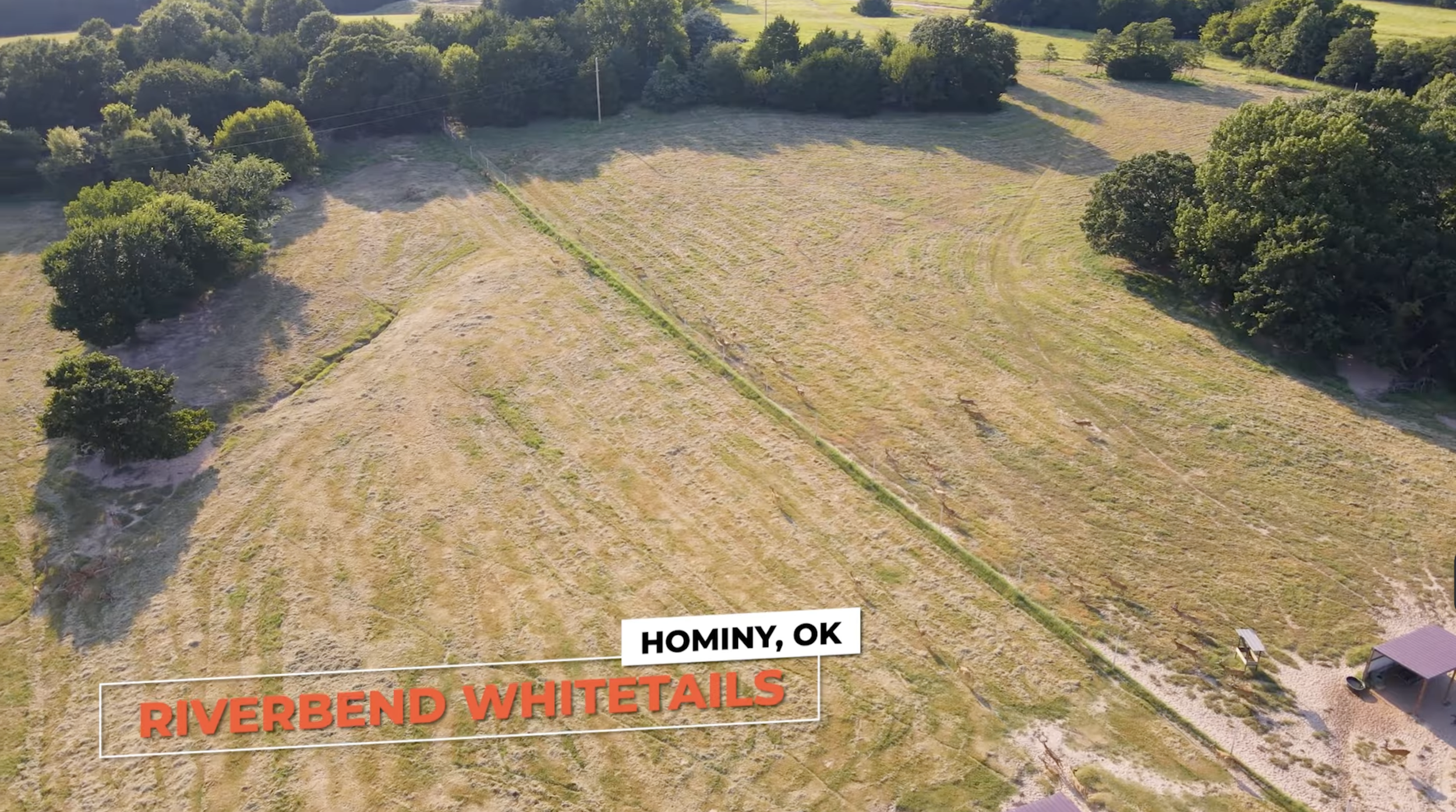 Screenshot 2026-01-29 at 12.08.49 PM.png